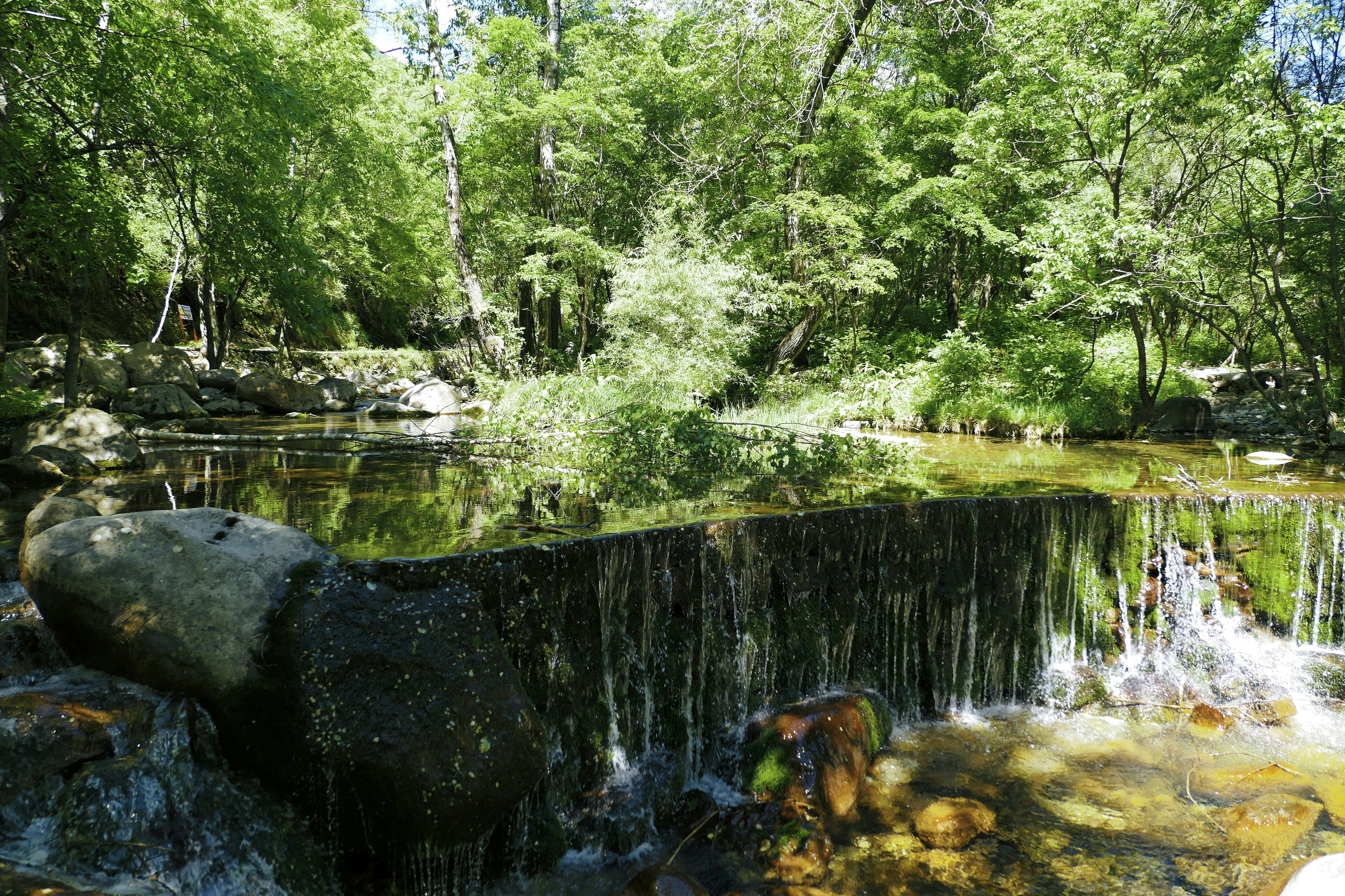 Water flows over a small waterfall in a forest.