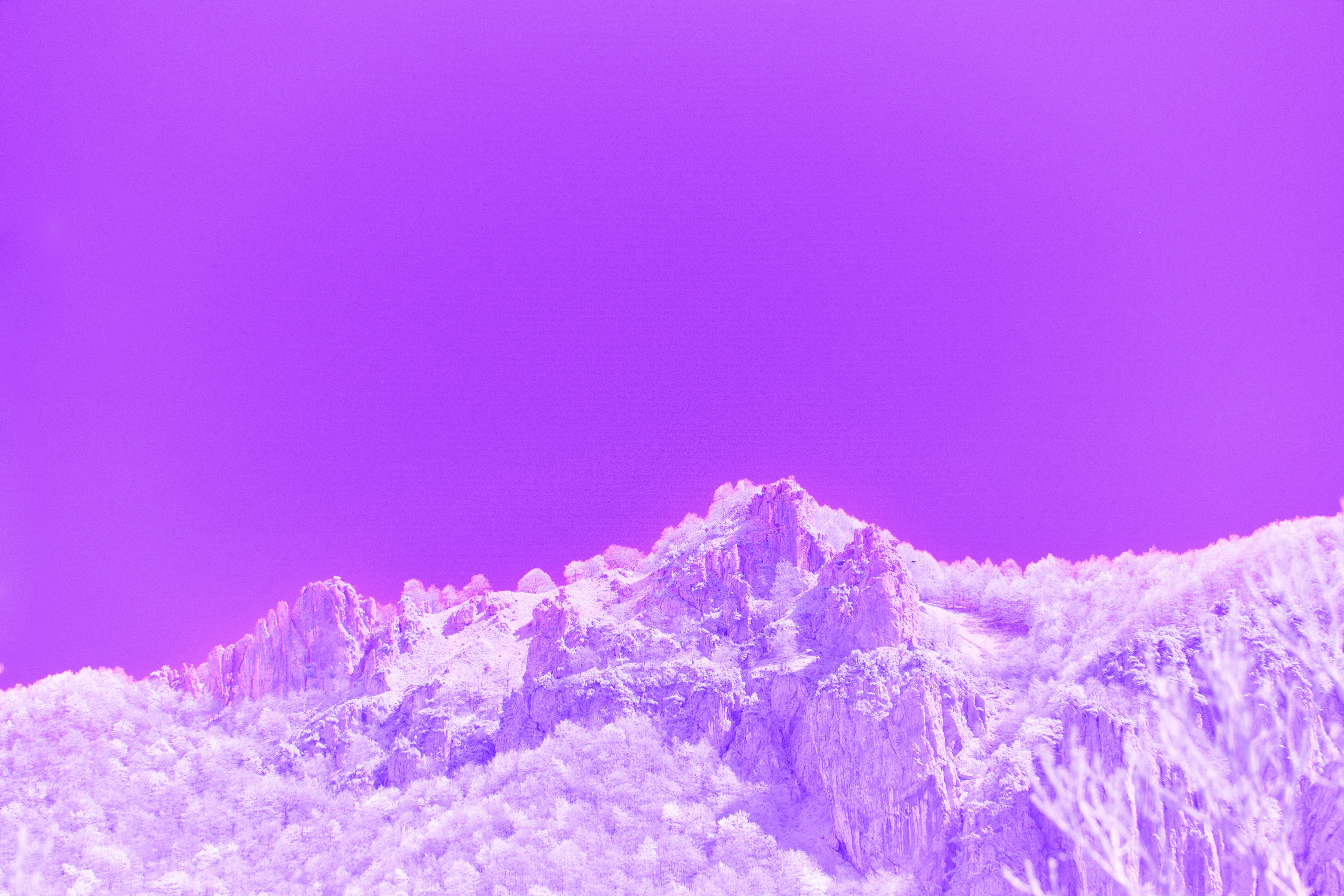 Purple mountains rise against a violet sky.