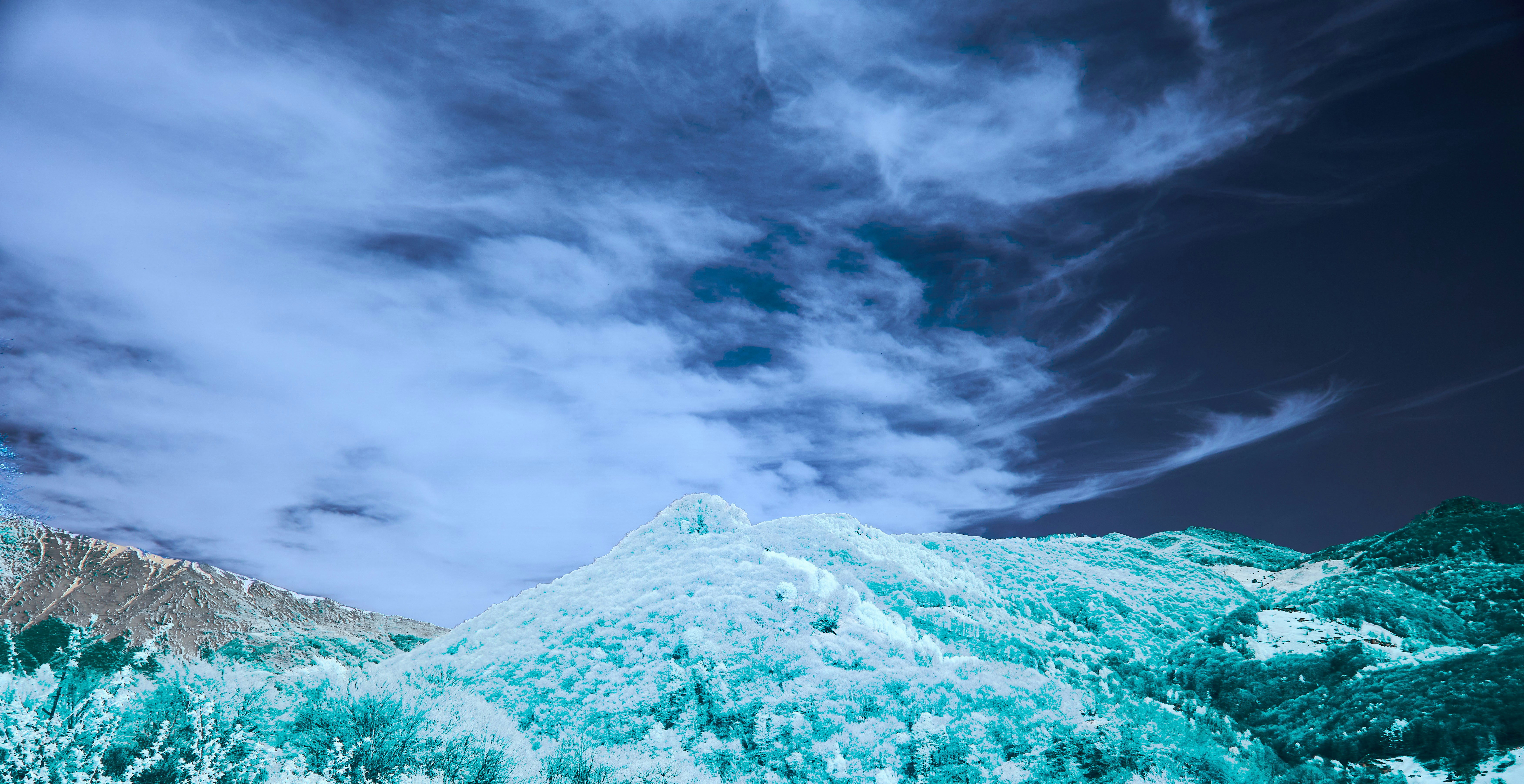 Photo by wolfgang_hasselmann