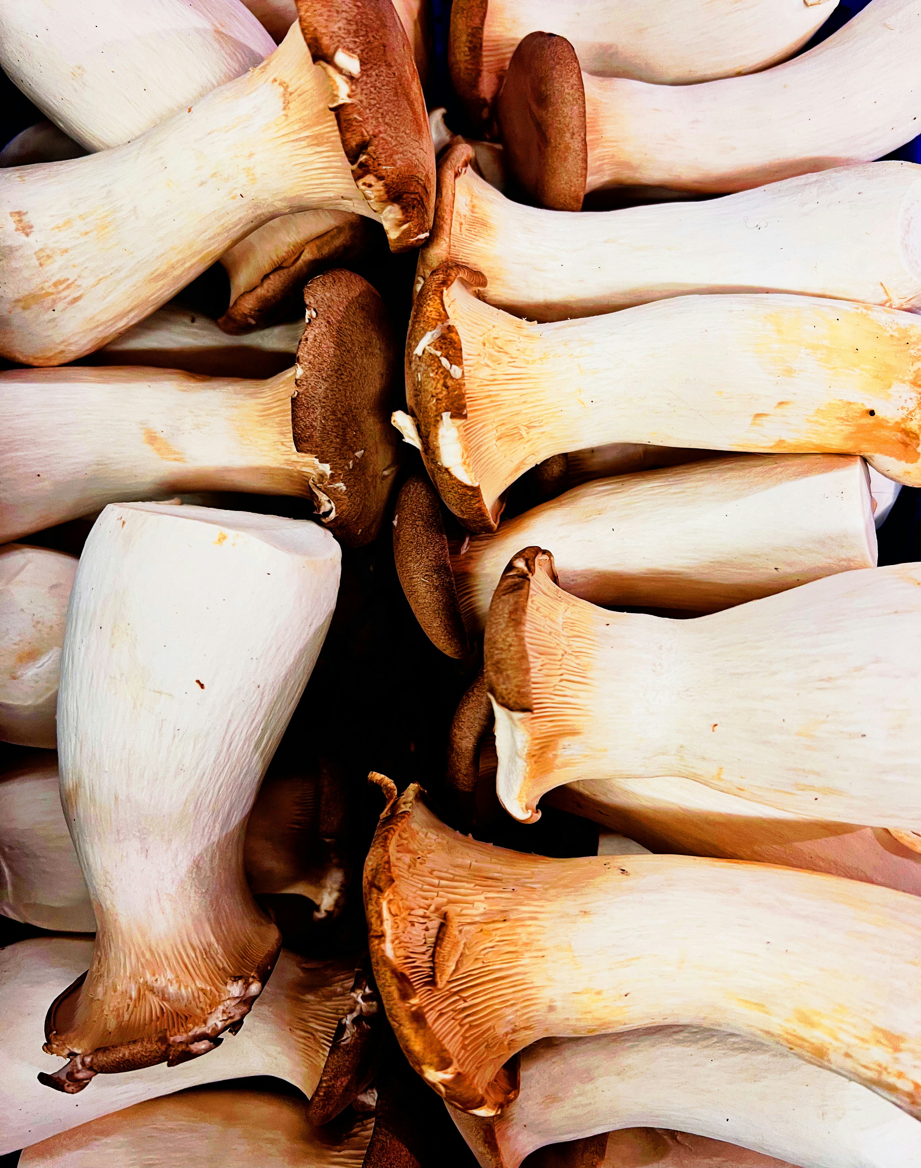 Photo by shaimaaasami