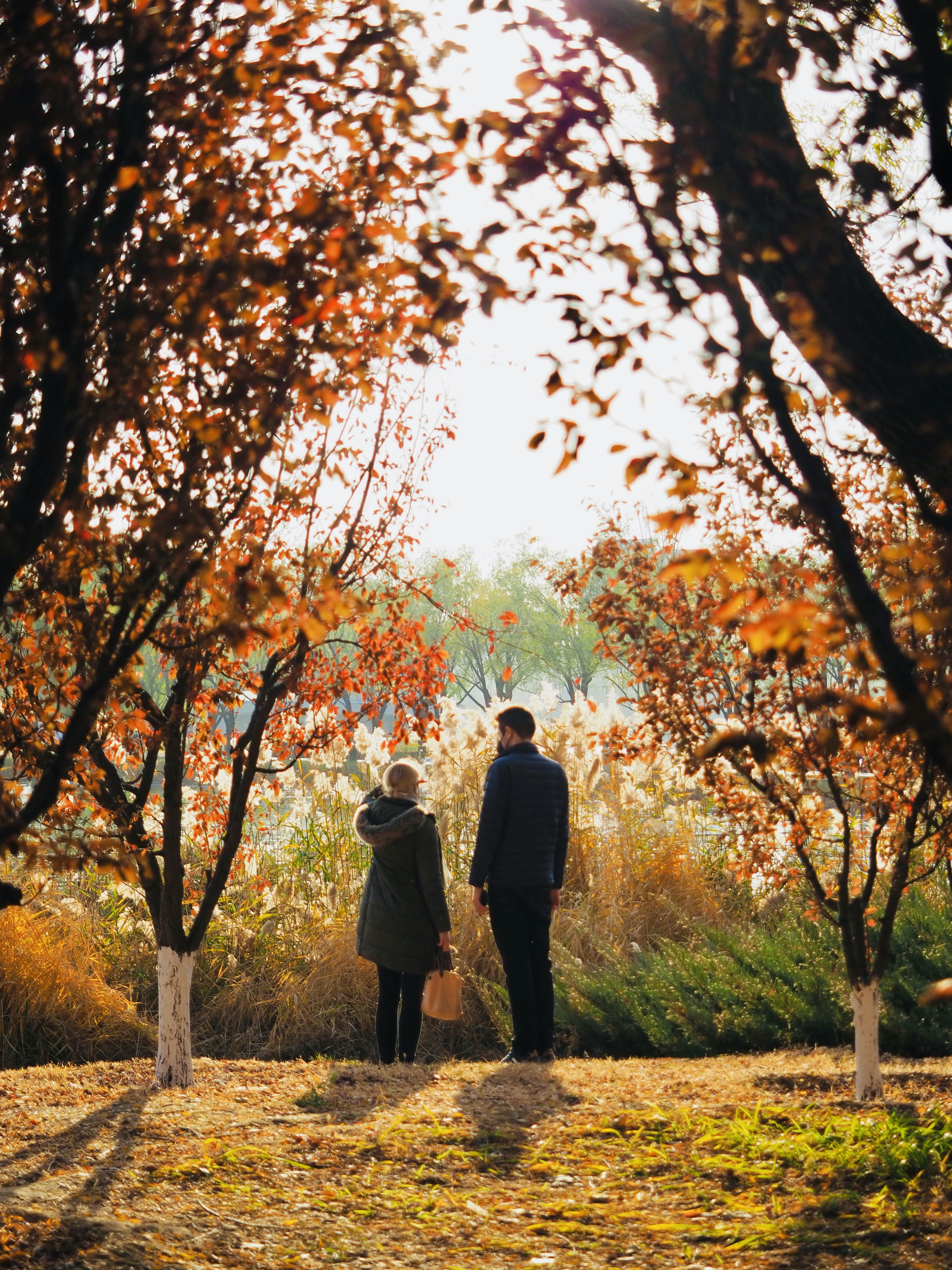 Photo by mianmian1997