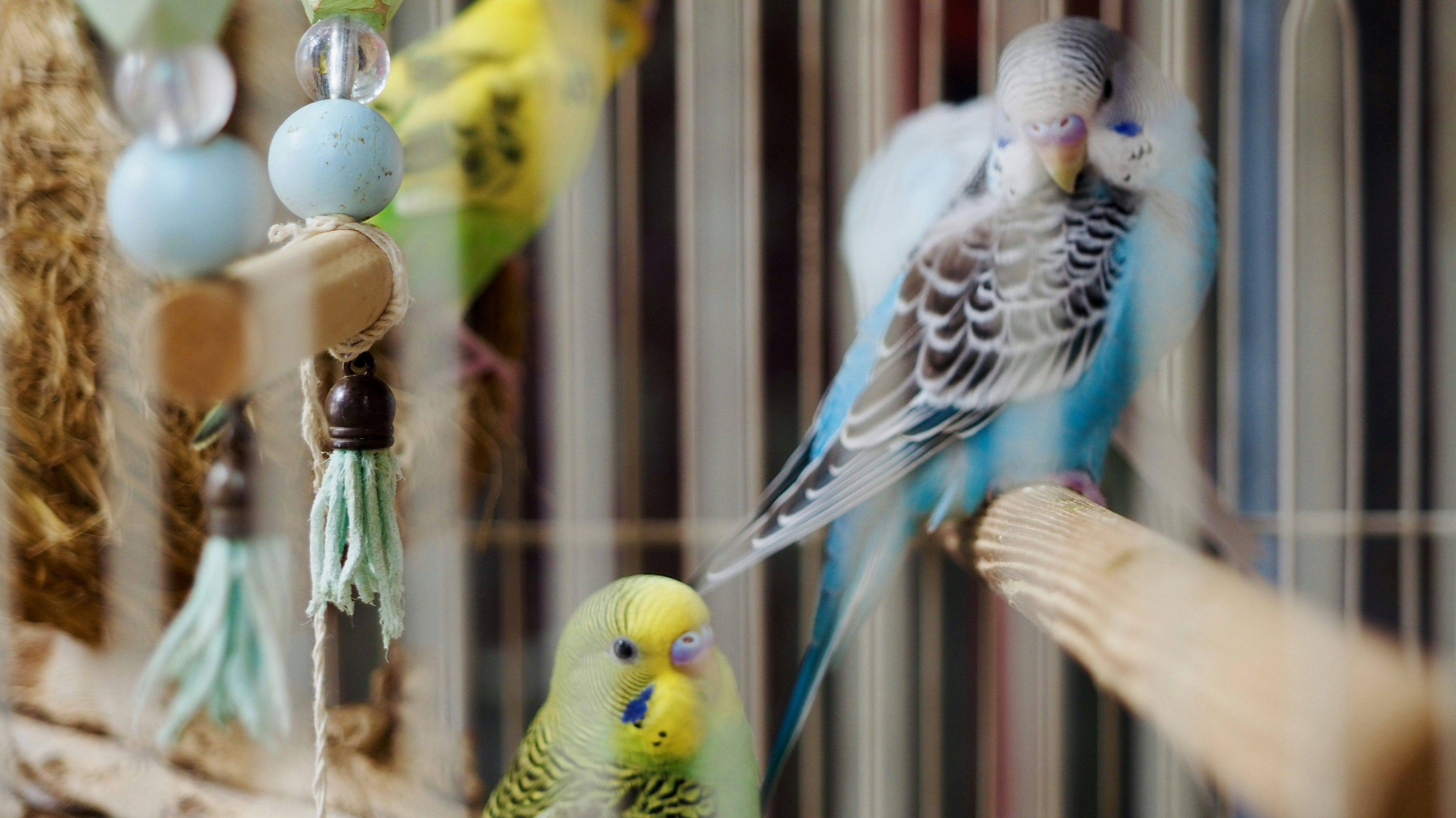 Photo by mianmian1997