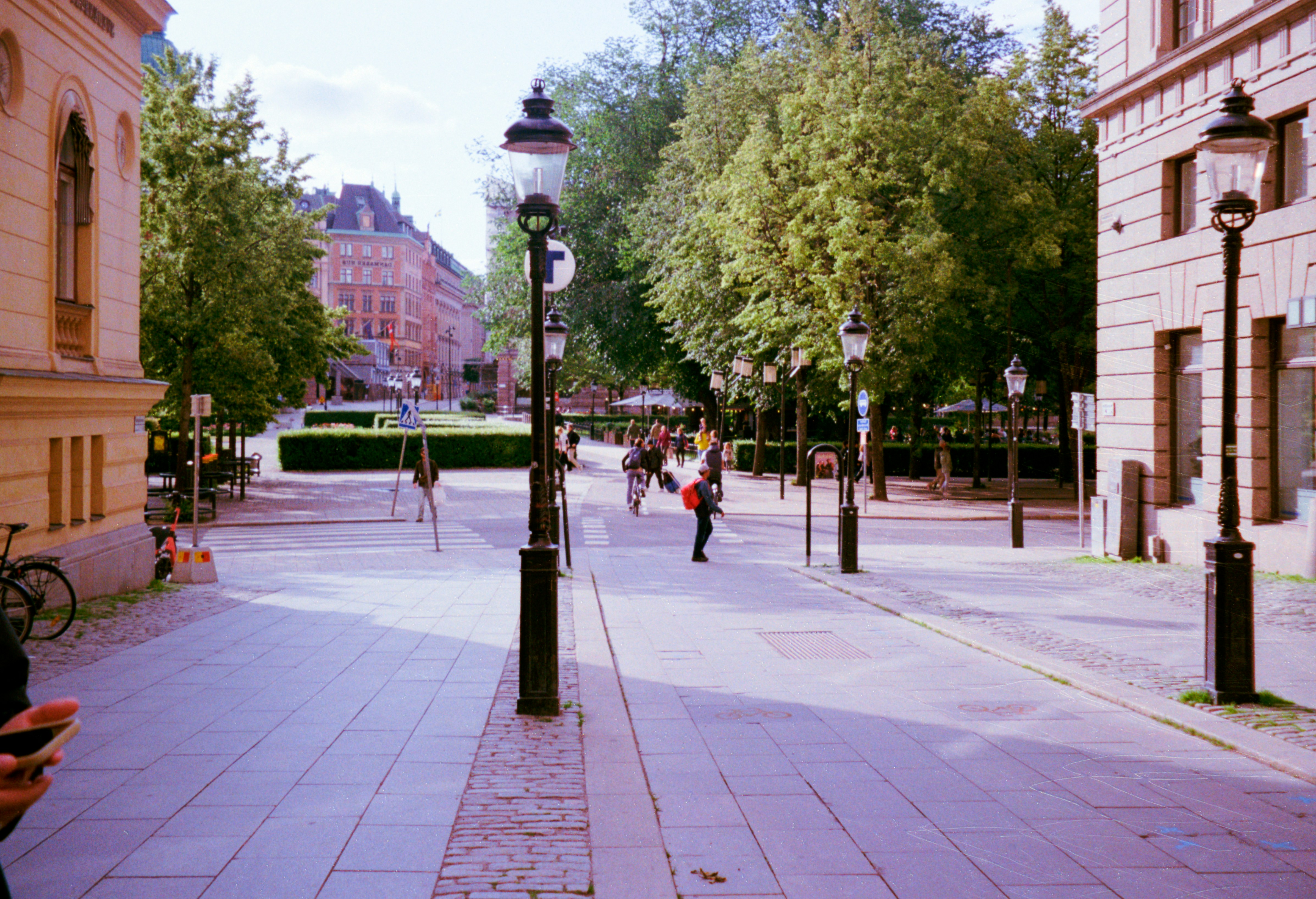 A street scene with buildings and trees.