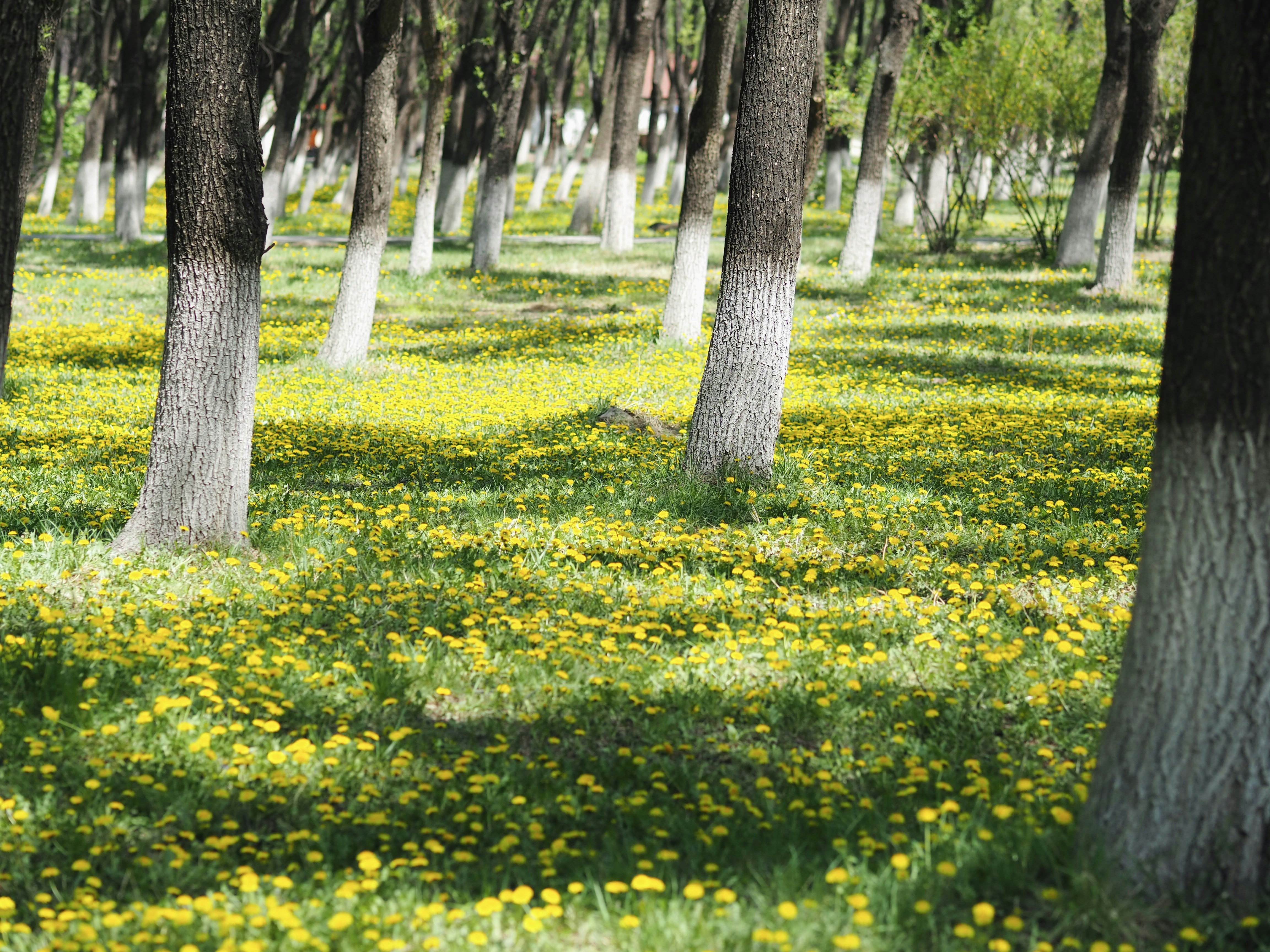 Photo by mianmian1997