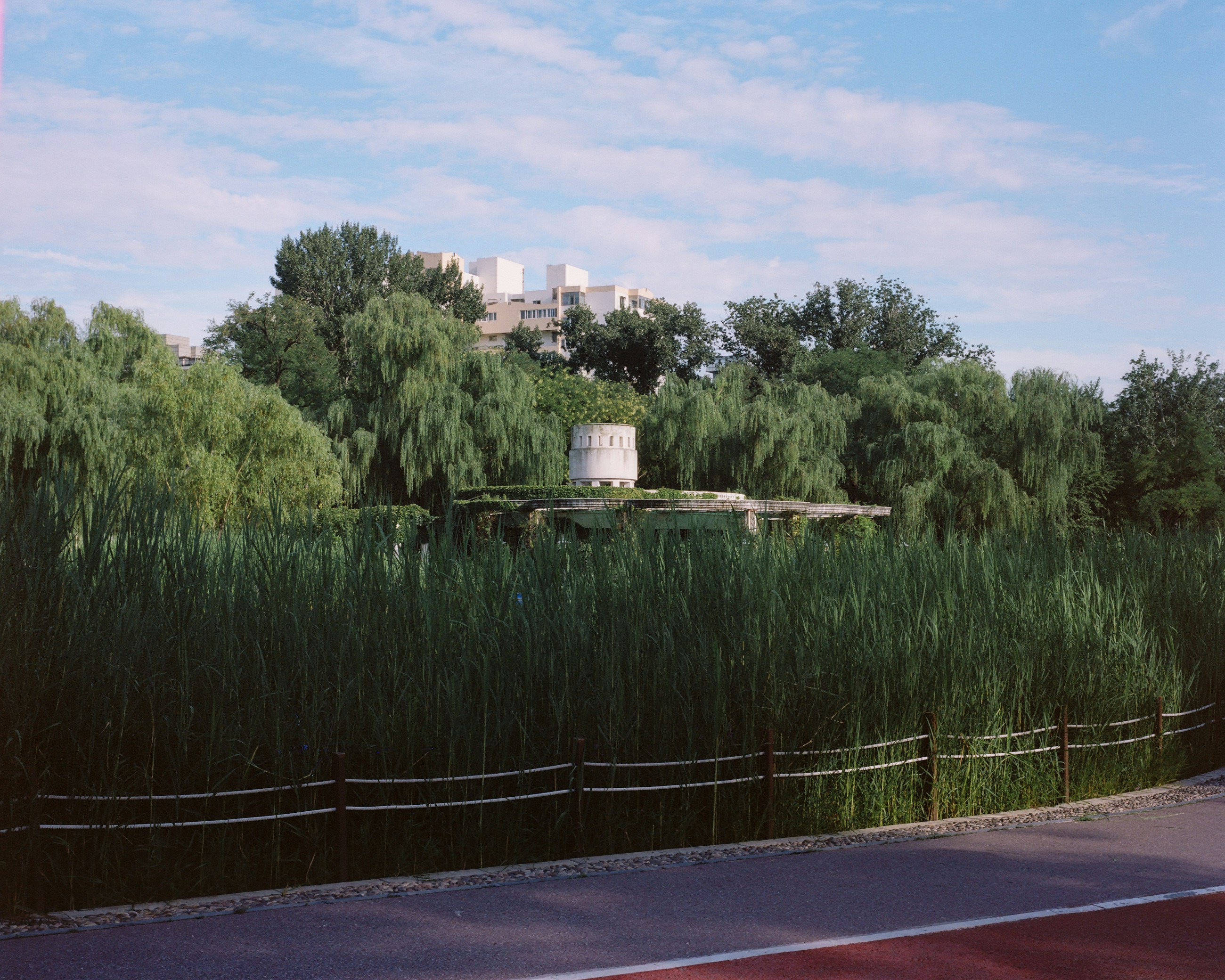 A pond with tall grass and a small structure.