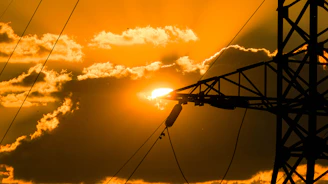 Sunset illuminates the sky, silhouetting the power lines.