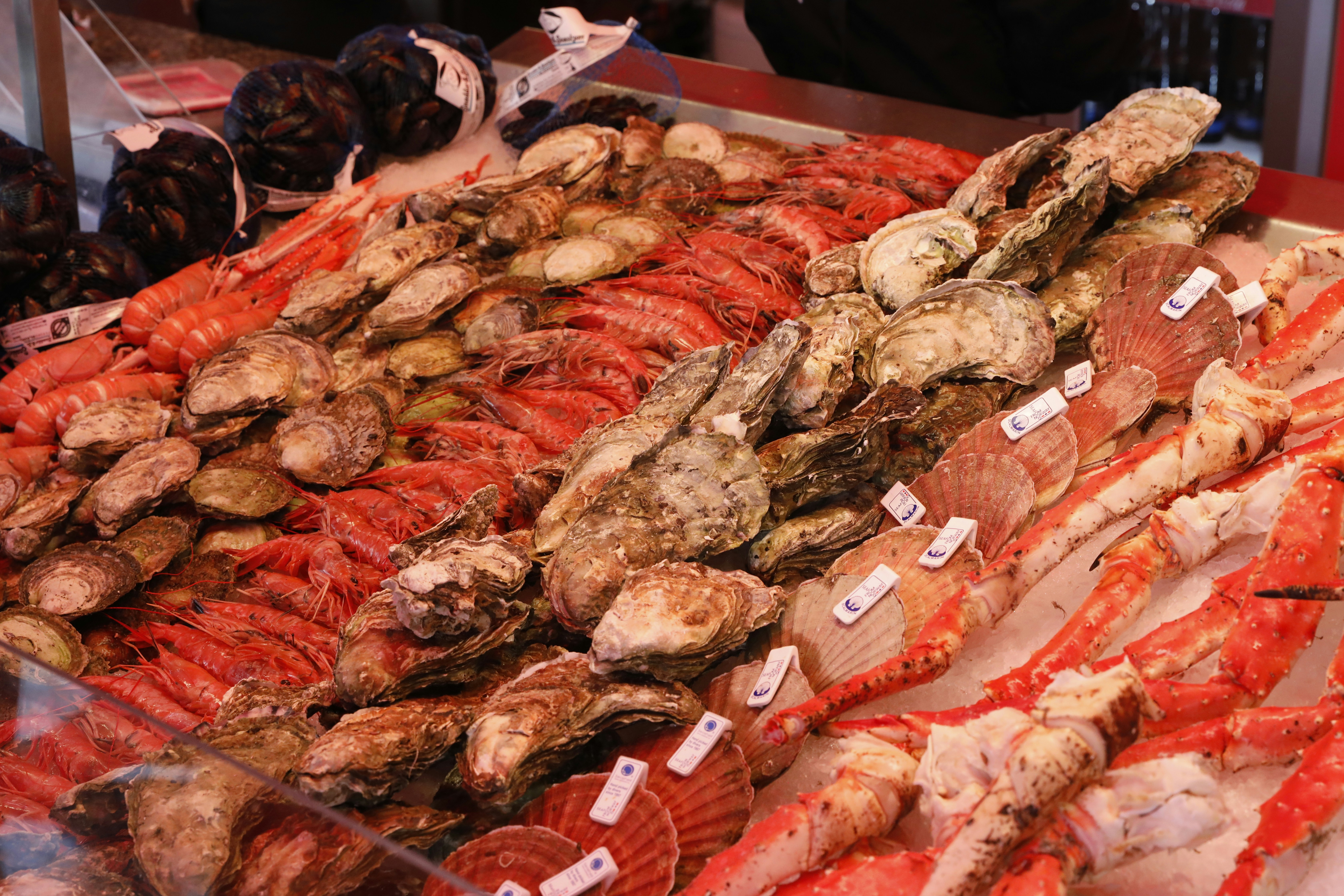 Photo by georgeiermann