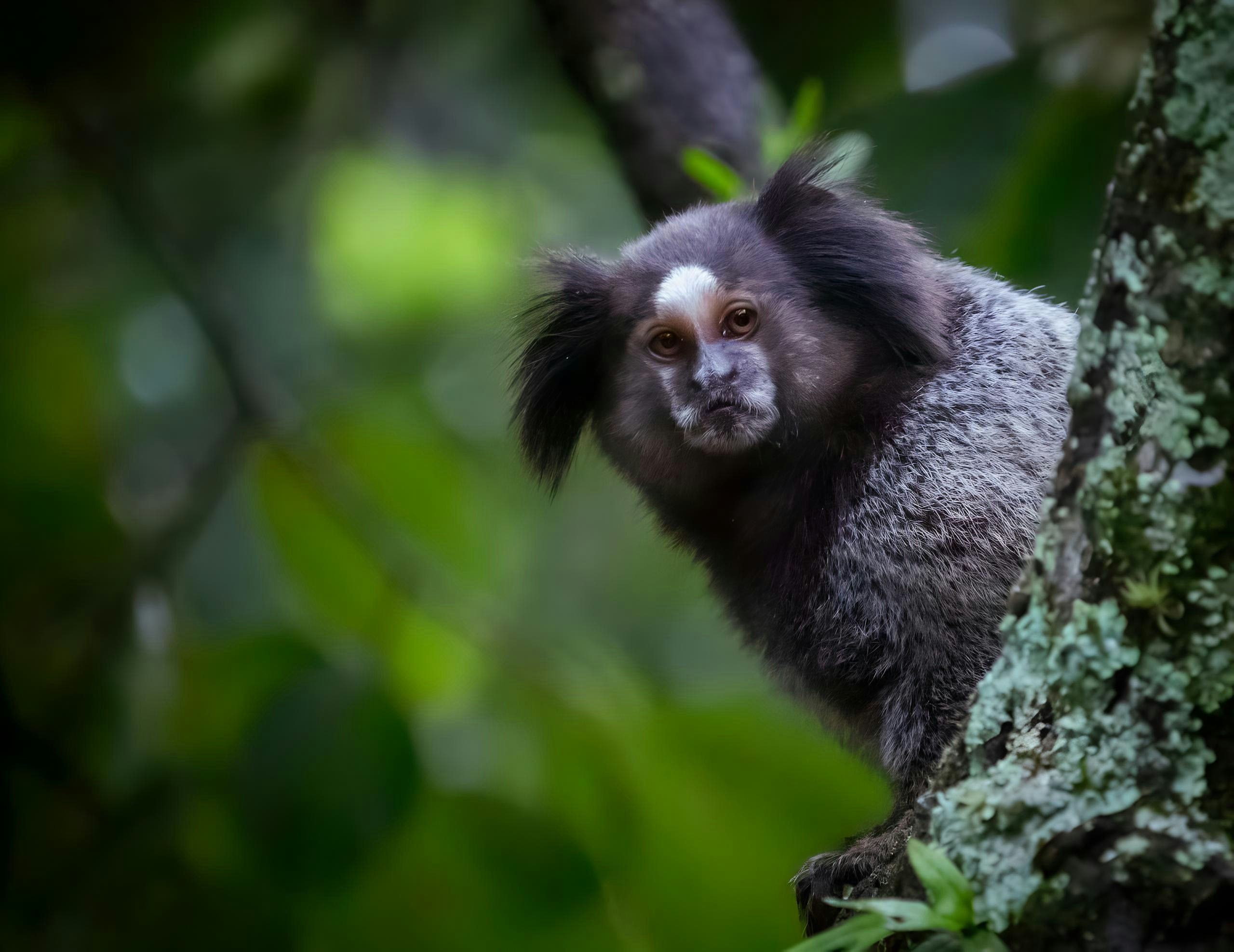 Photo by carlosramosat