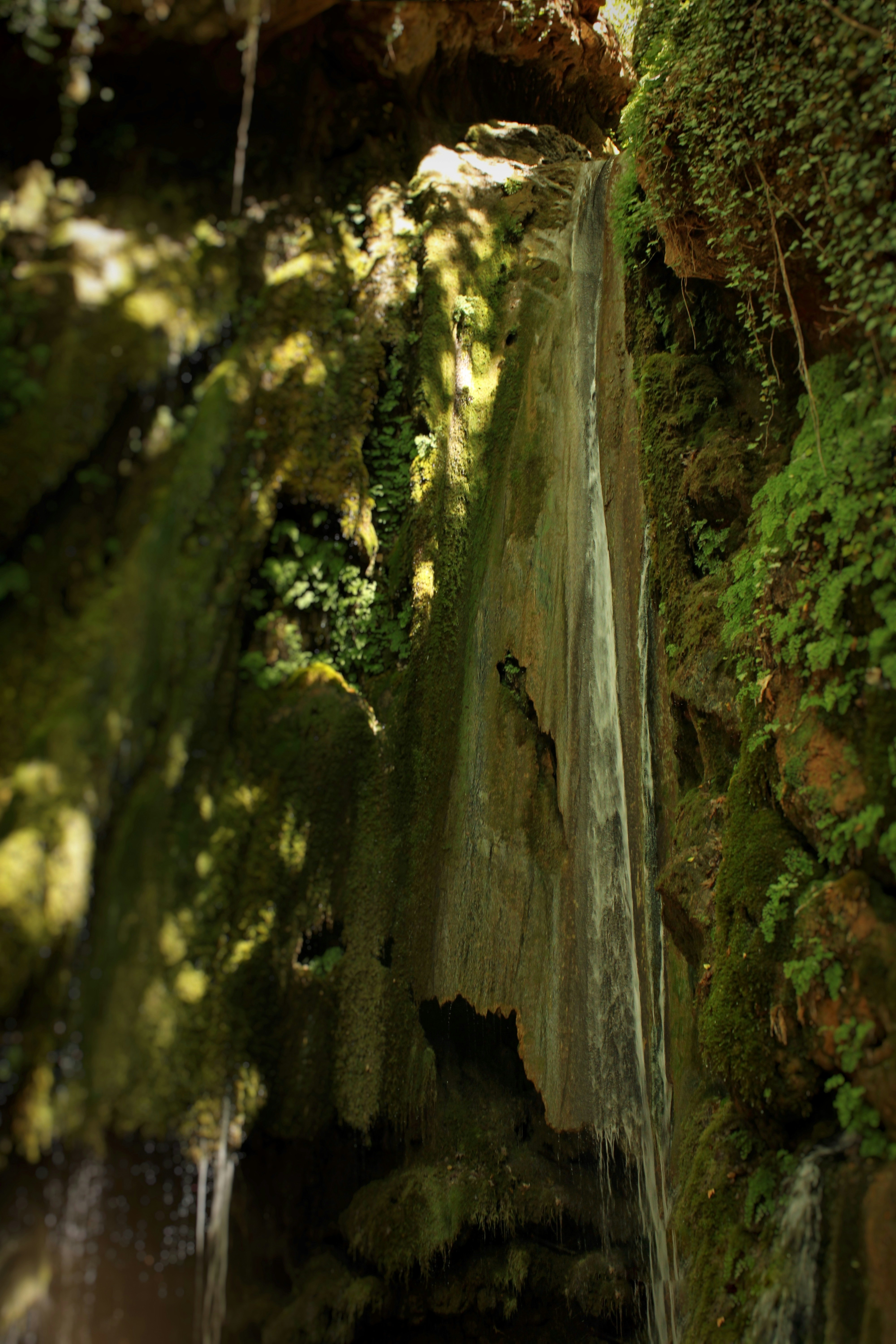 Photo by bingus_pngg