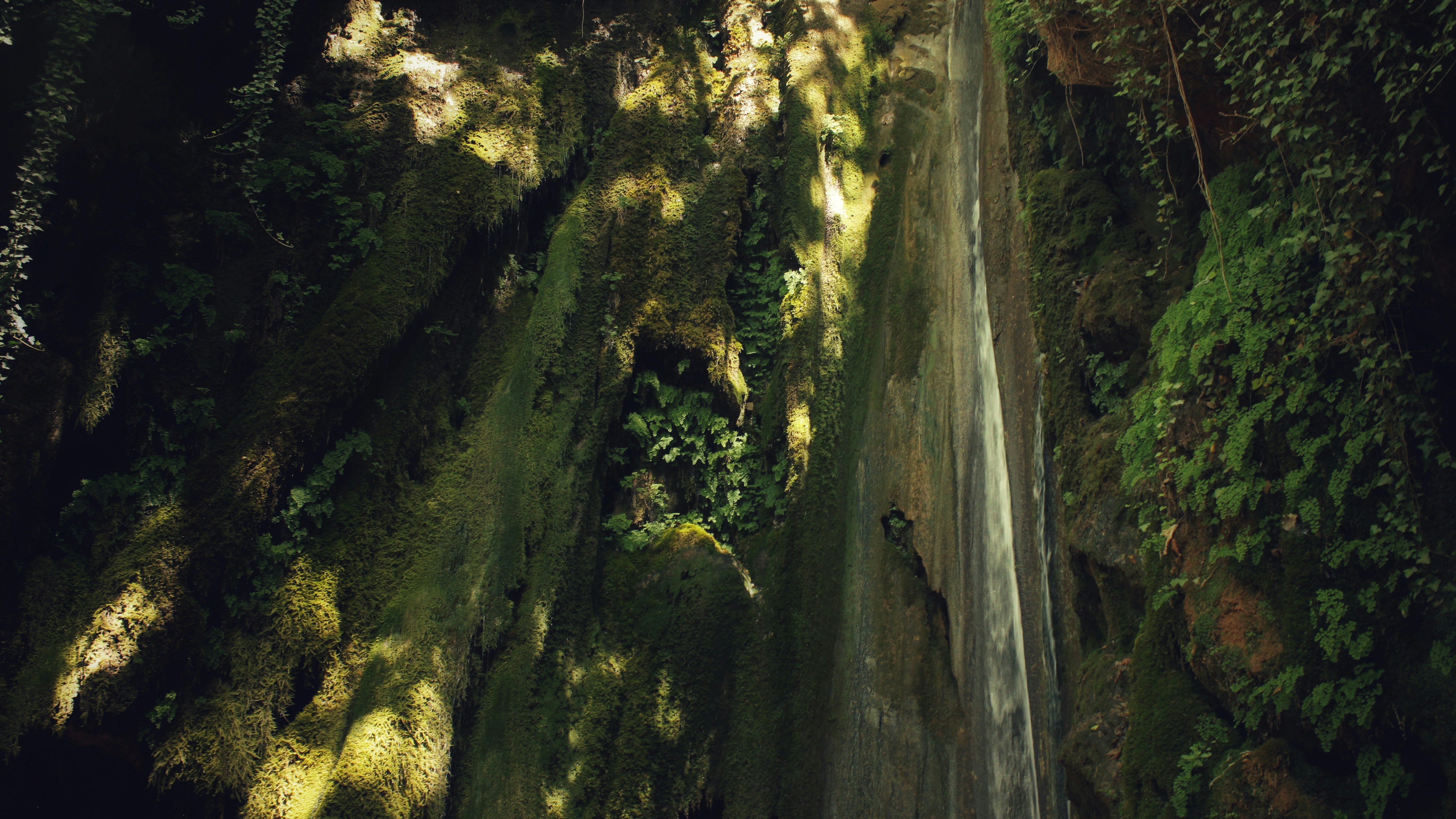 Photo by bingus_pngg