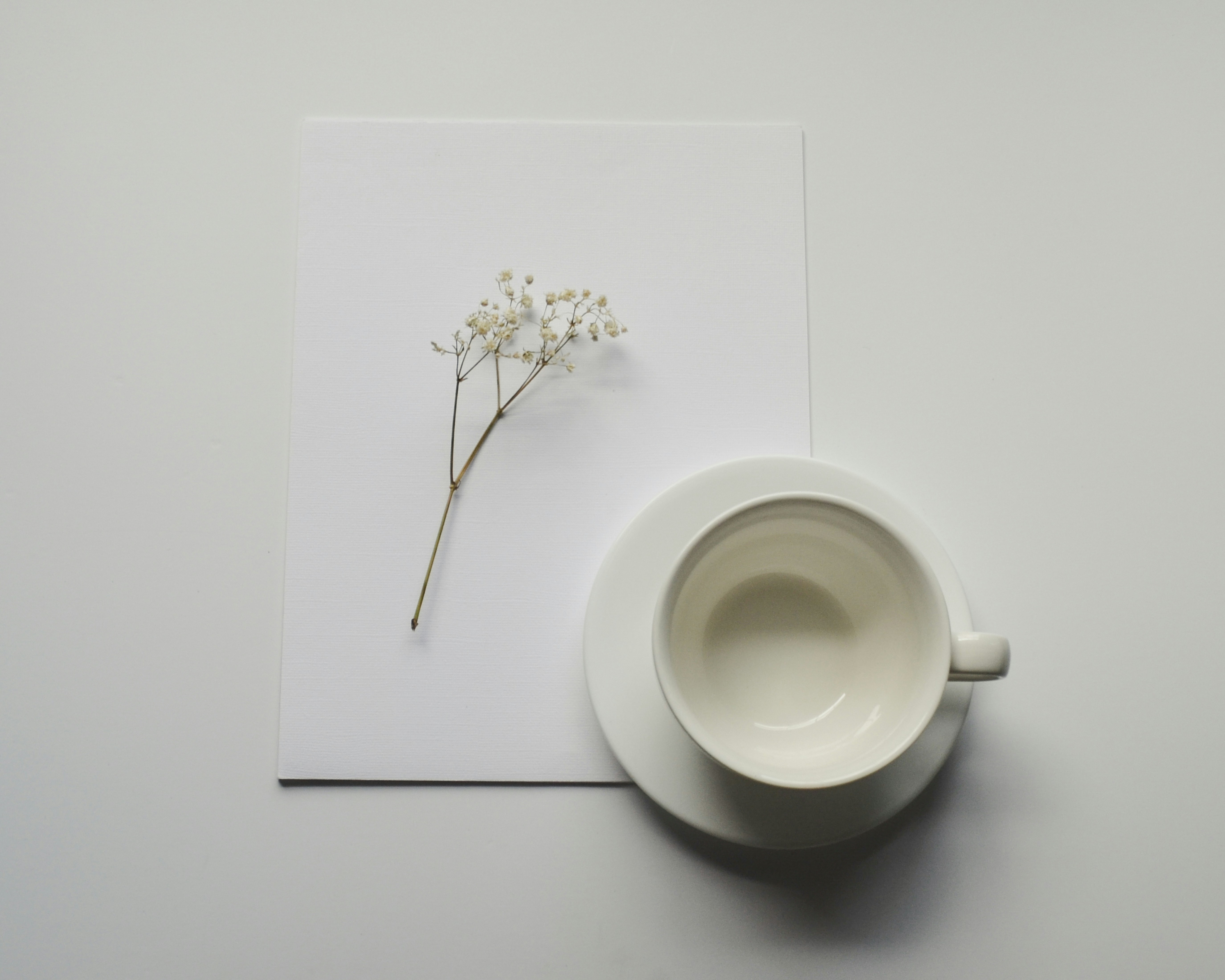 White cup, flower and paper on a white surface.