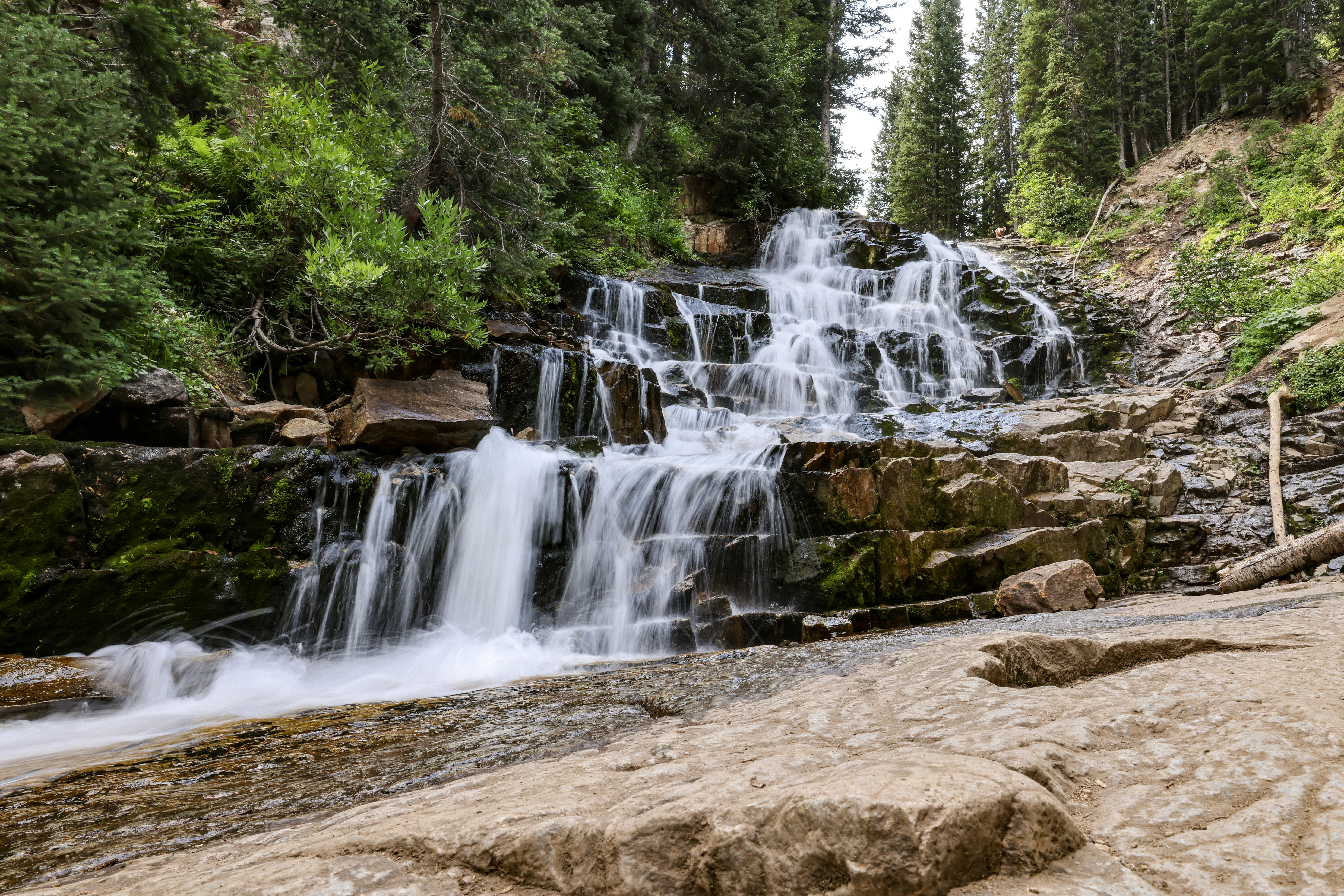 Photo by rocinante_11