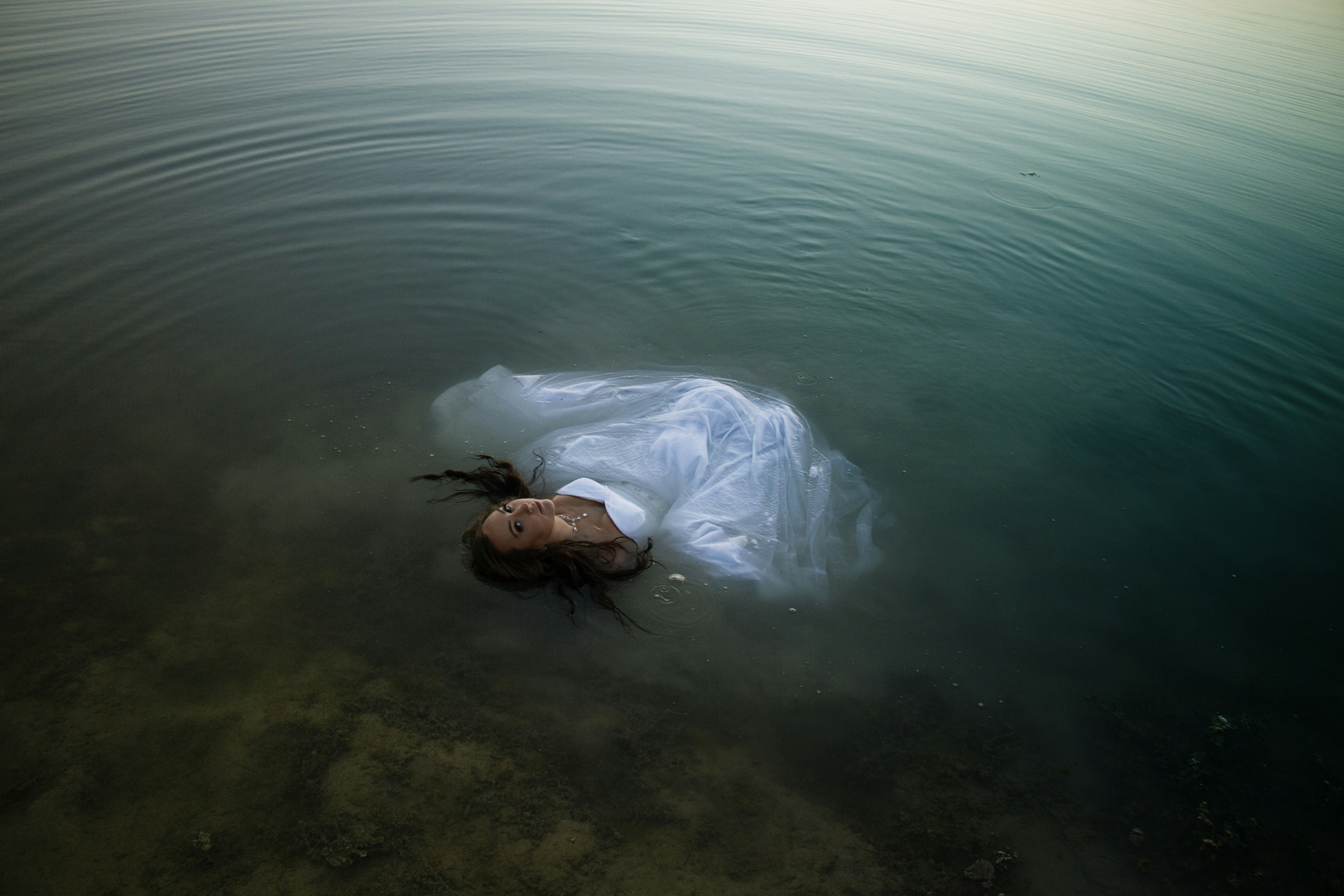 Deceased animal tangled in plastic bag in water