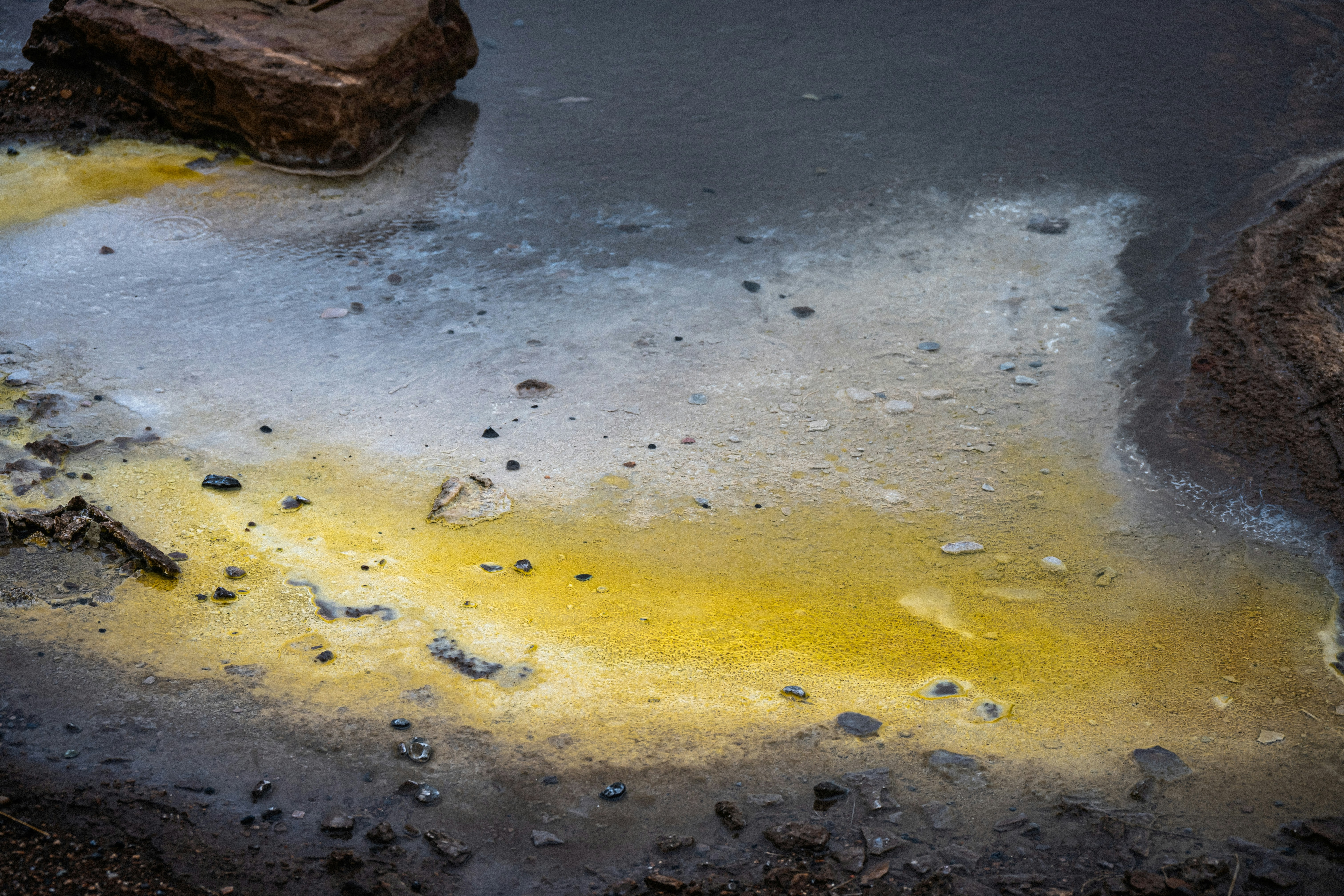 Photo by justmejuliee