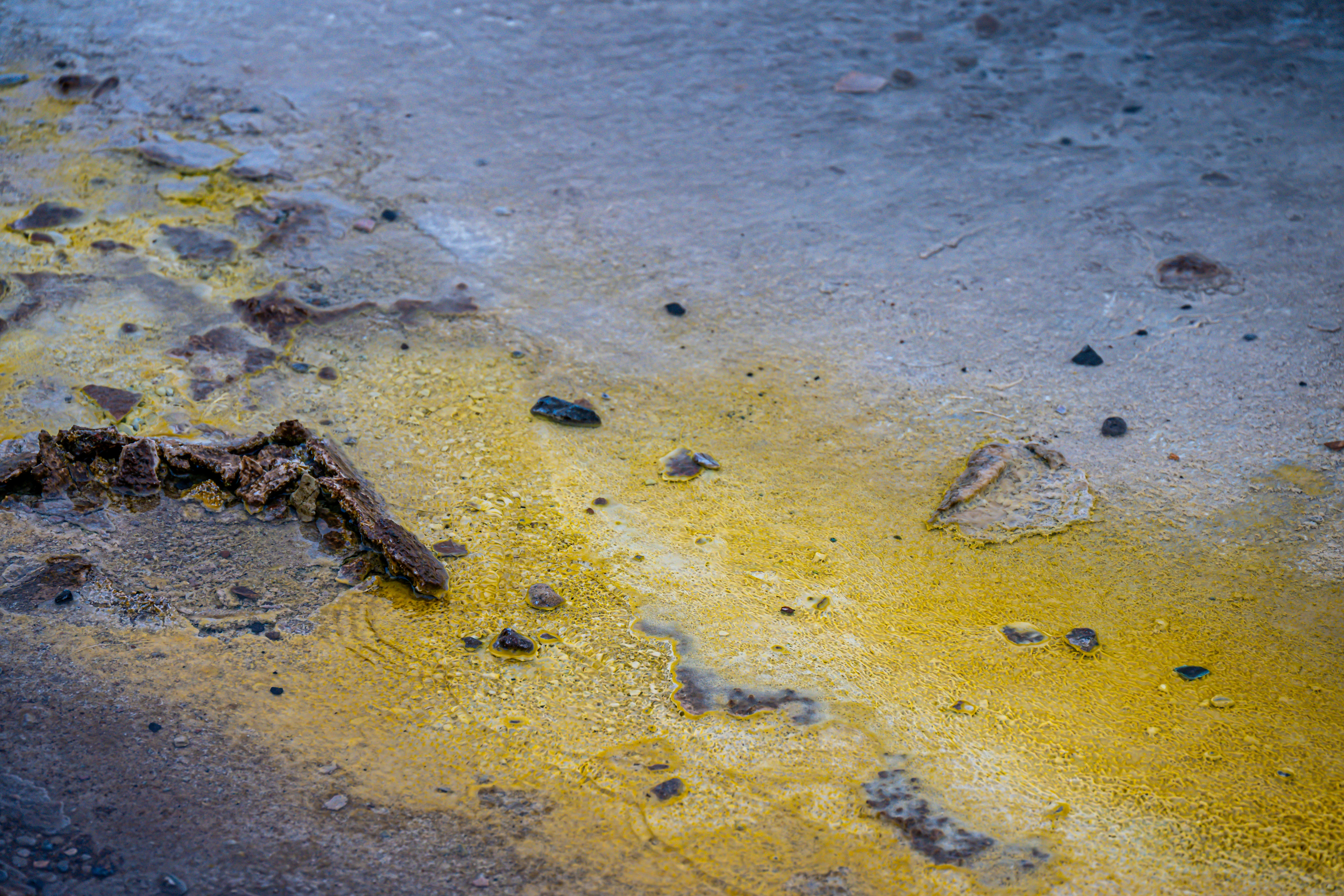 Photo by justmejuliee