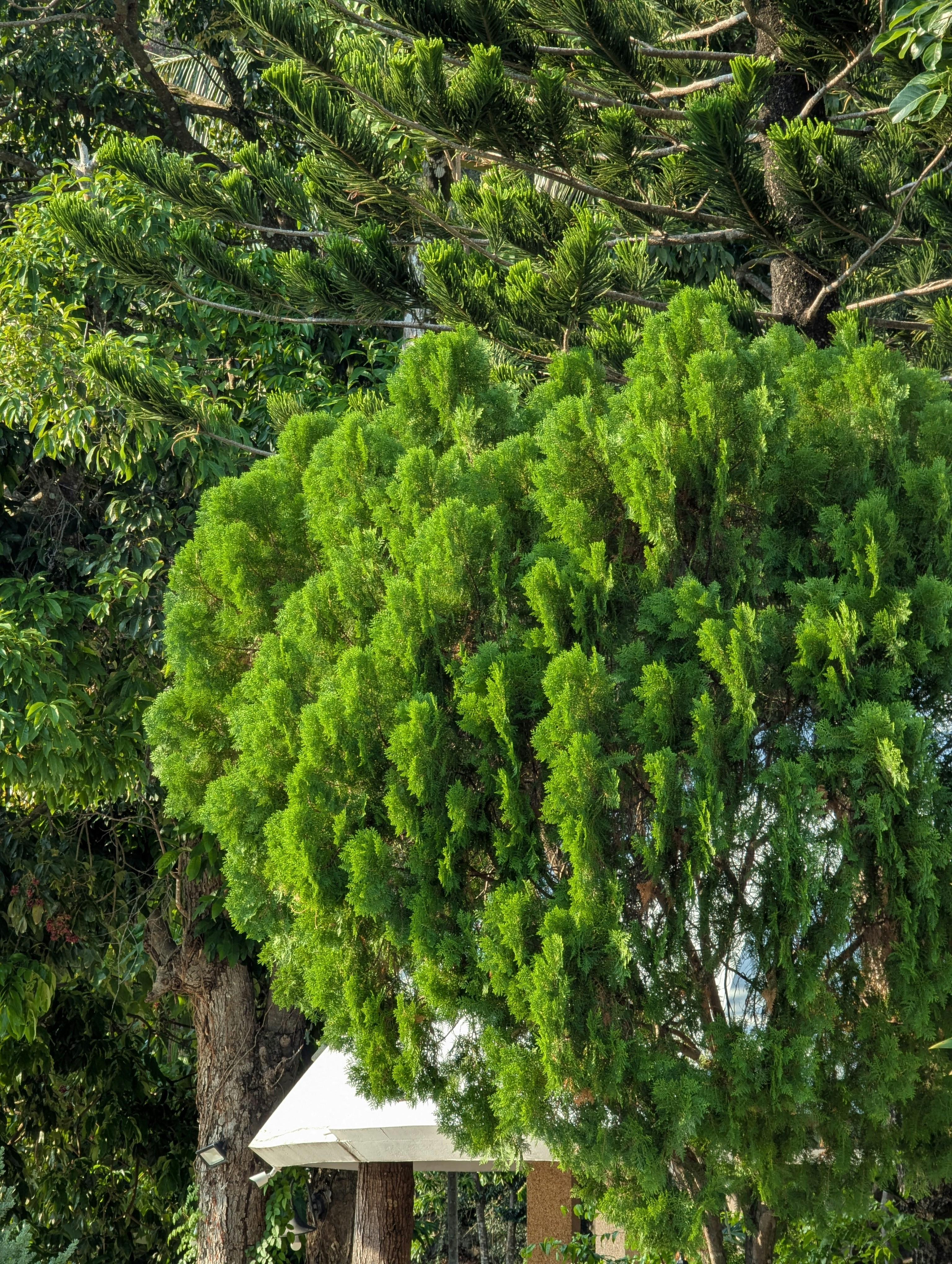 Photo by nestormehanikov