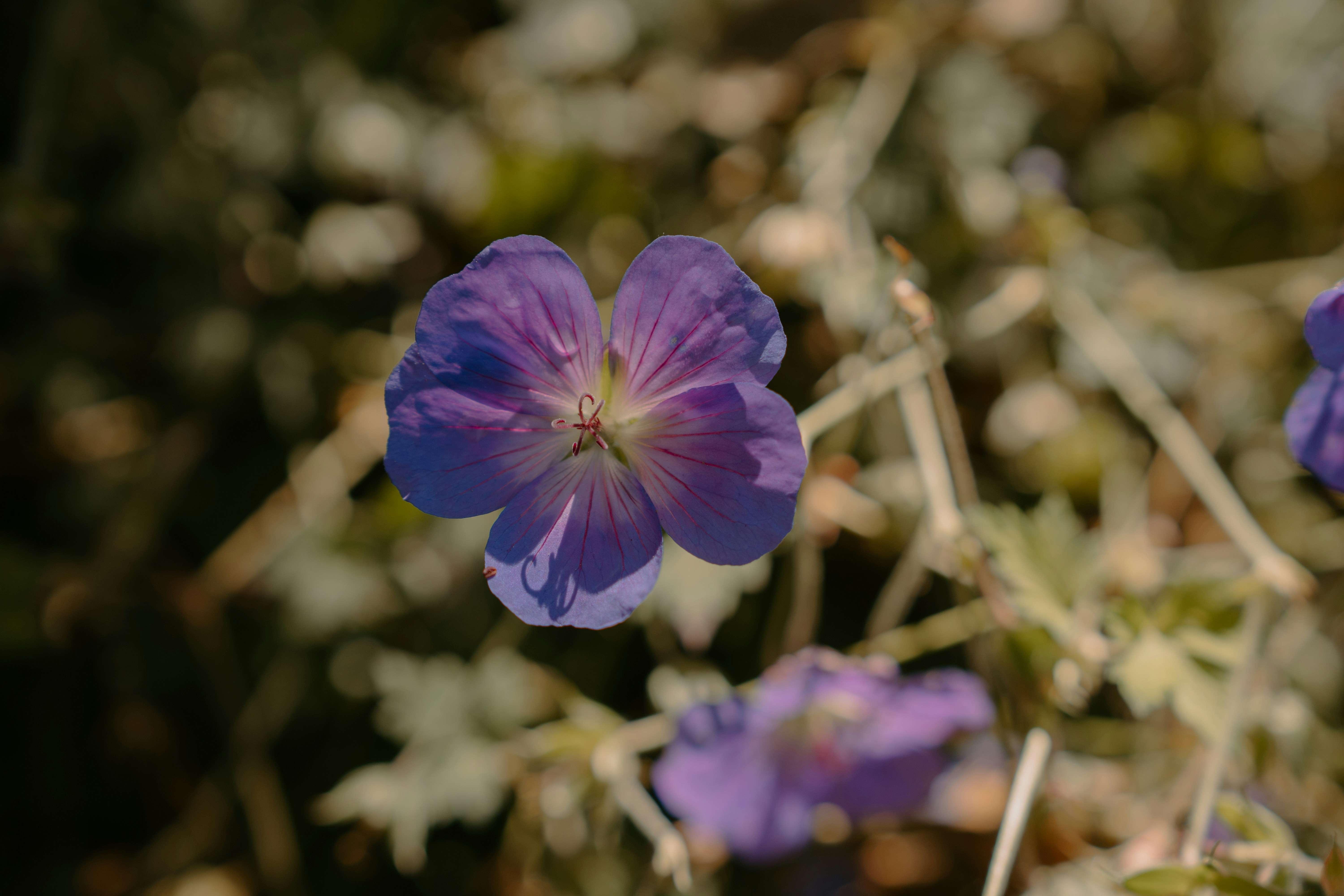 Photo by emilyirenephotoco