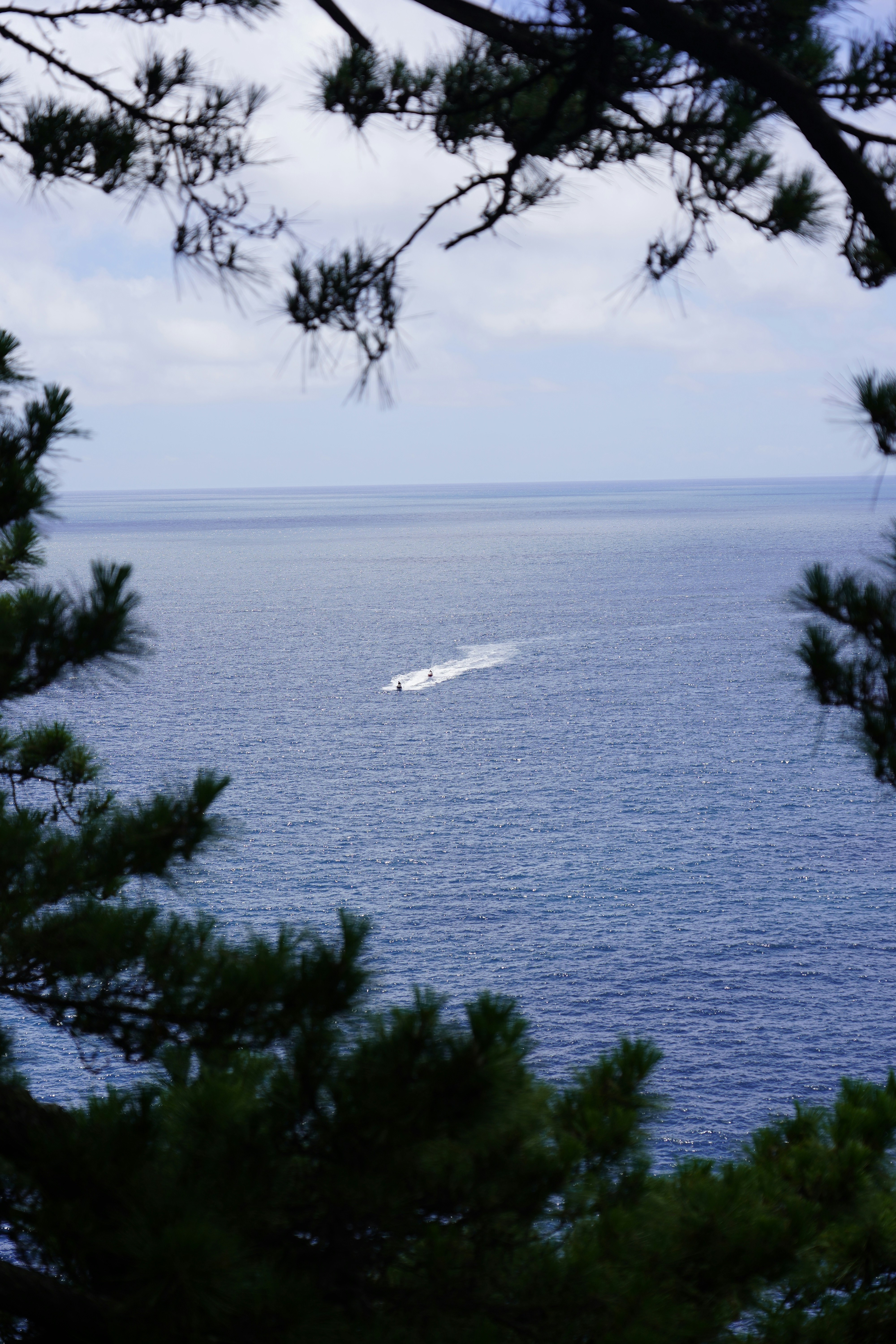 A boat sails across the ocean framed by trees.