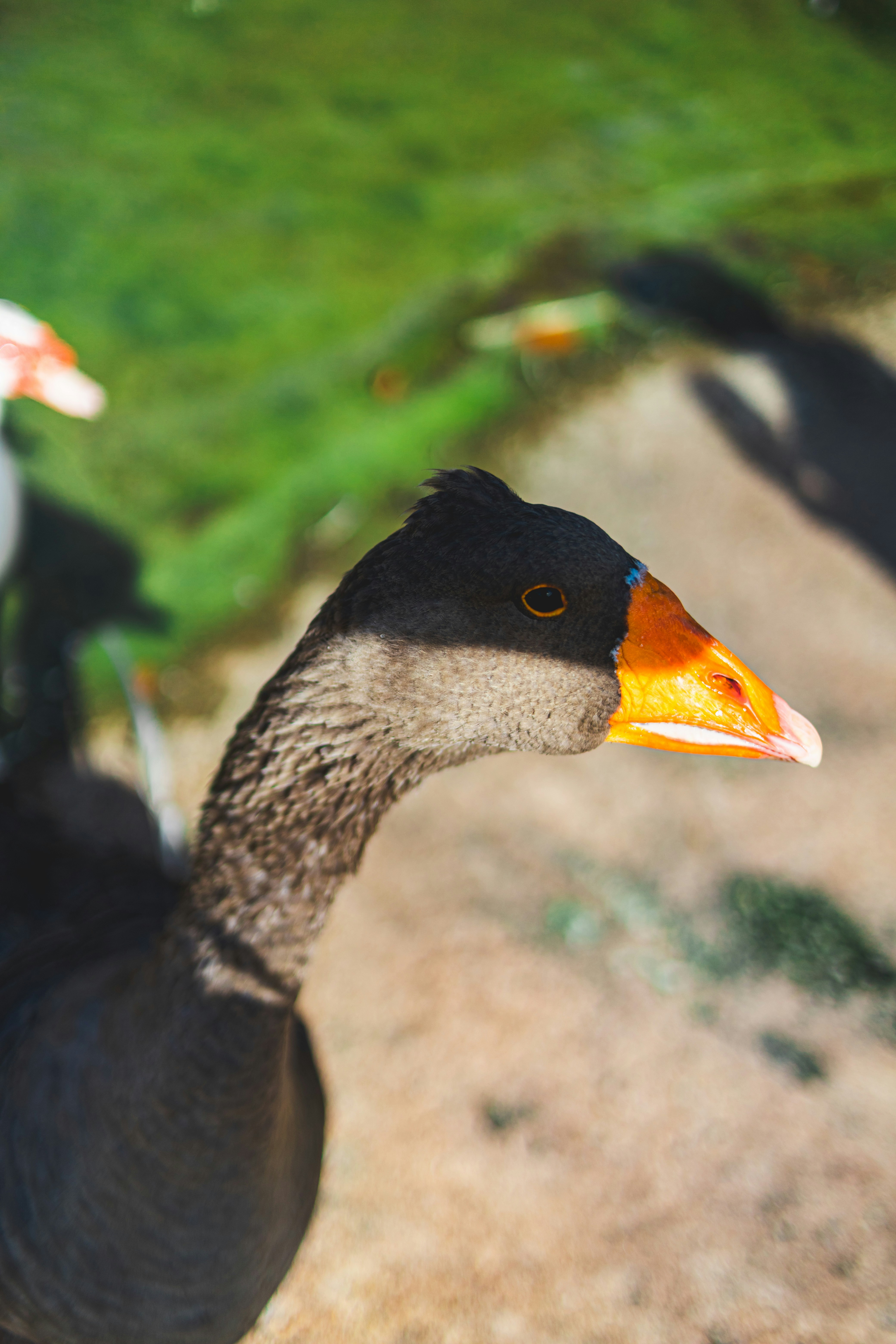 Photo by mynameisiknow