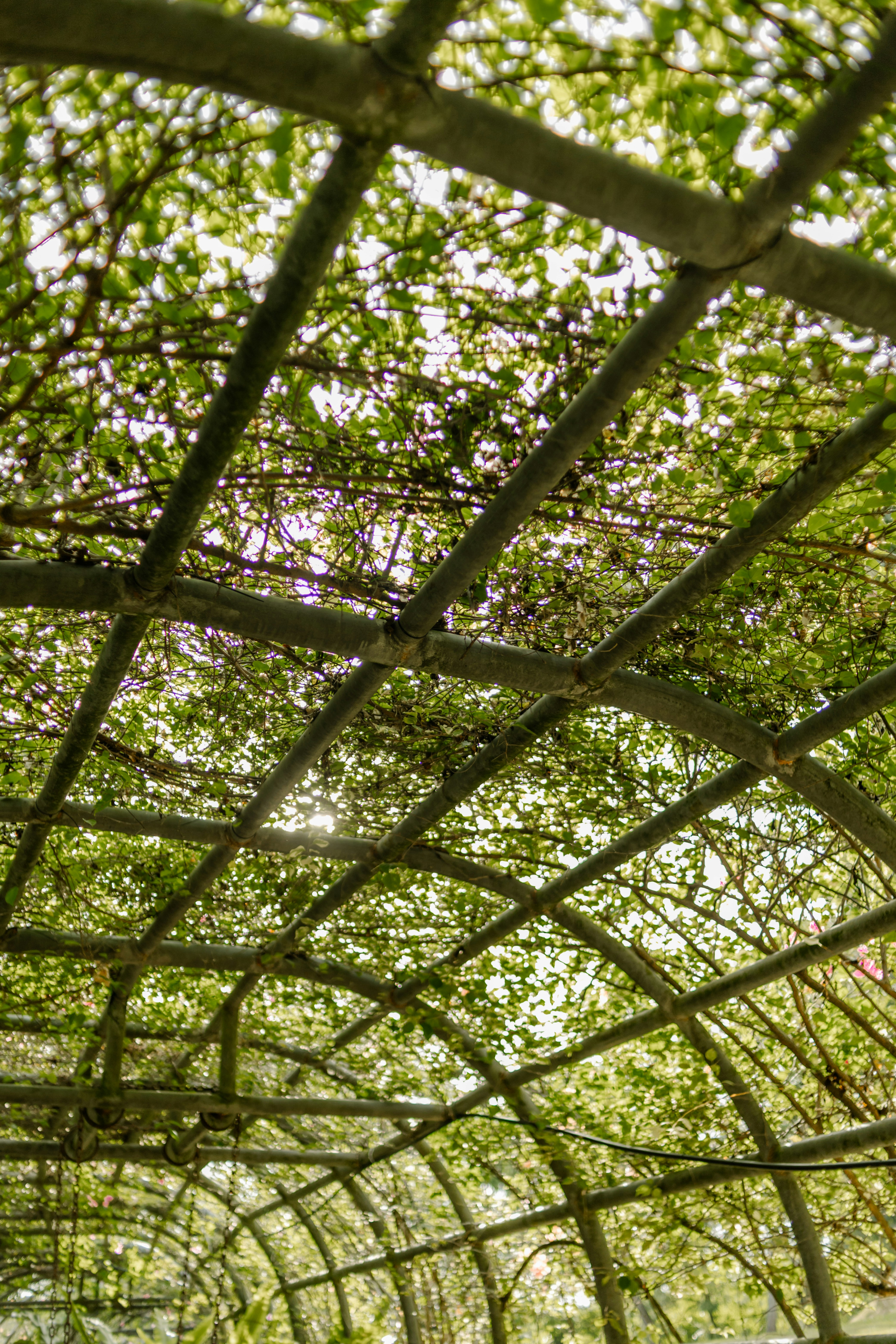 Photo by mynameisiknow