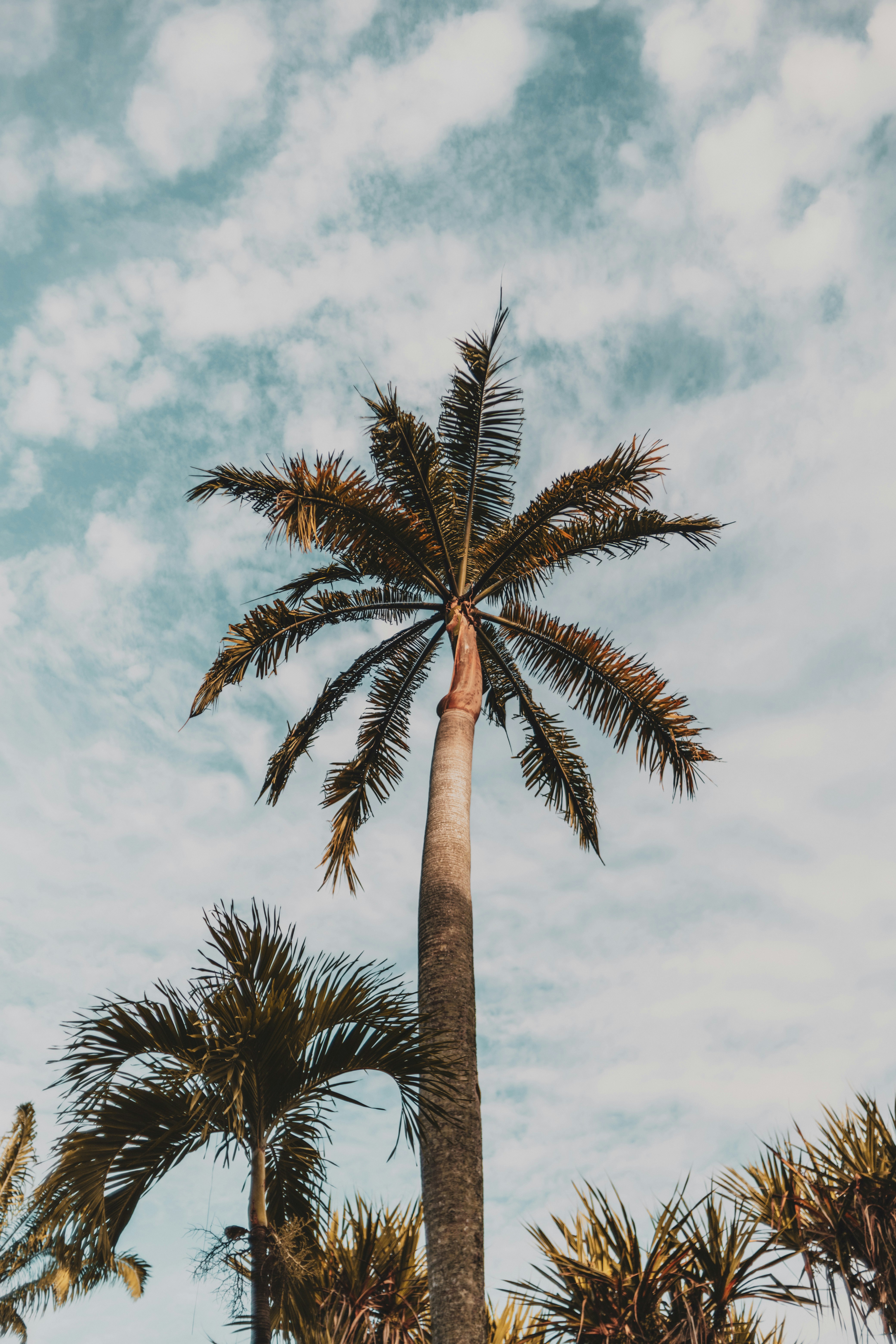 Photo by mynameisiknow