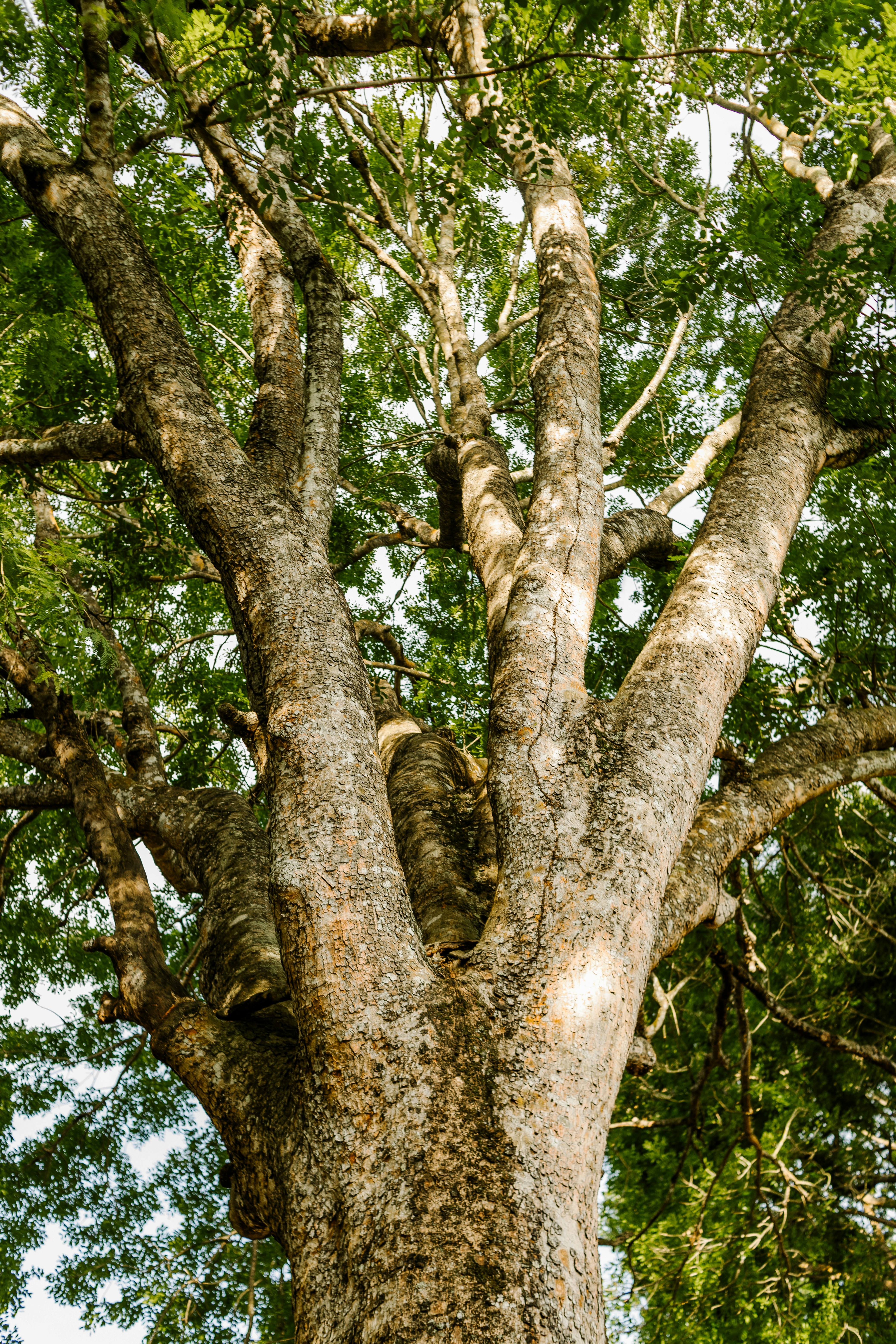 Photo by mynameisiknow