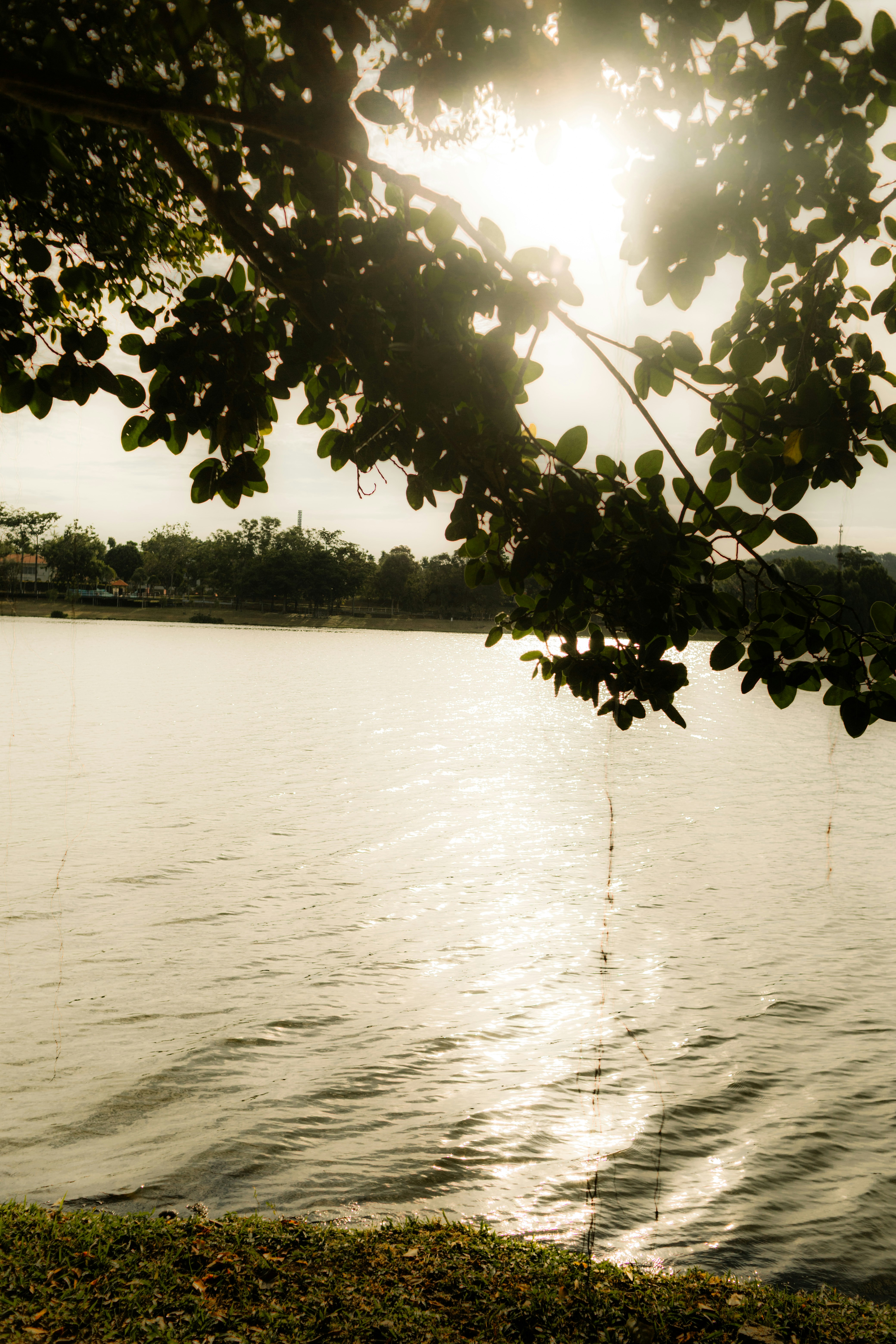 Photo by mynameisiknow