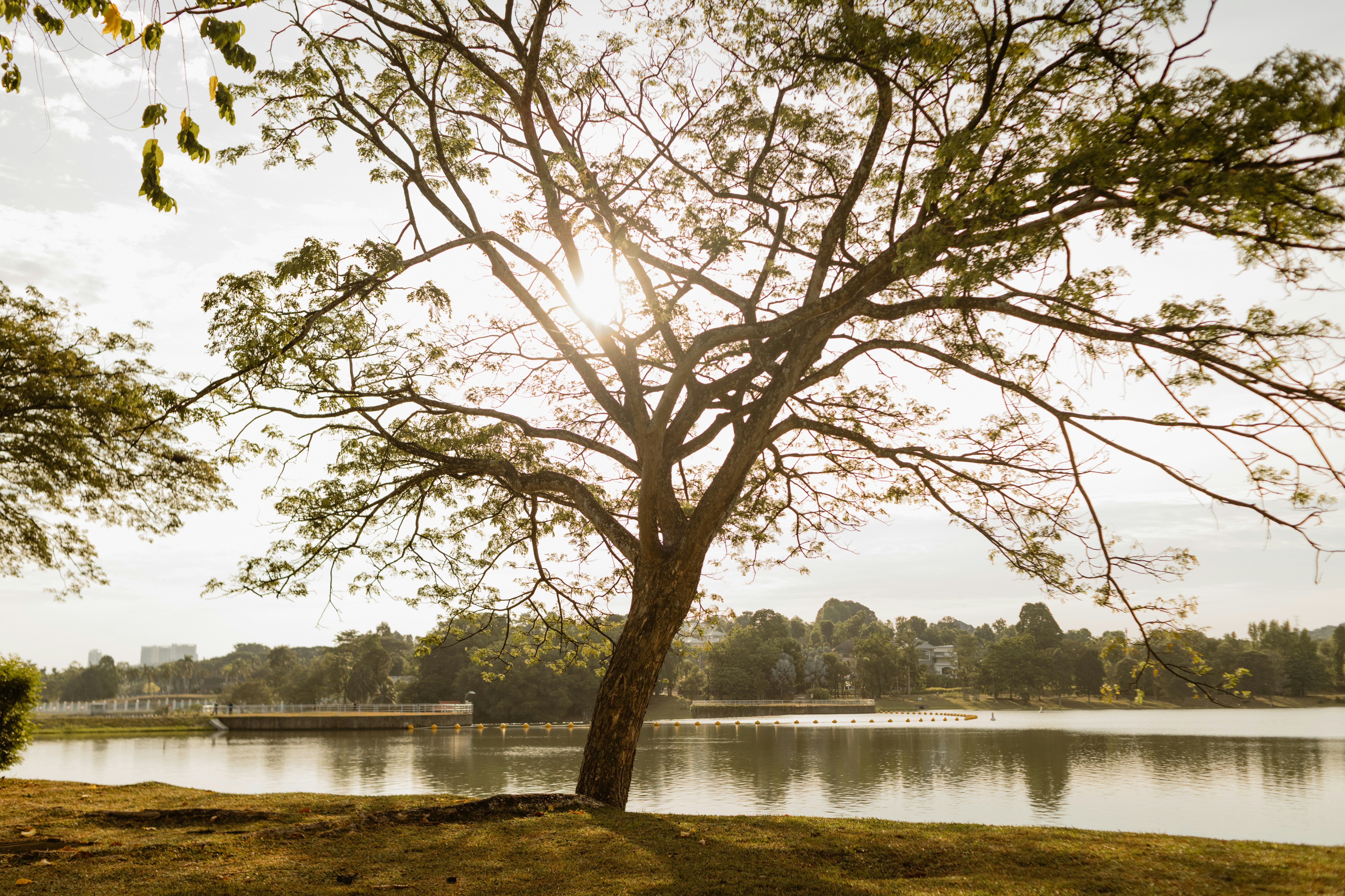 Photo by mynameisiknow