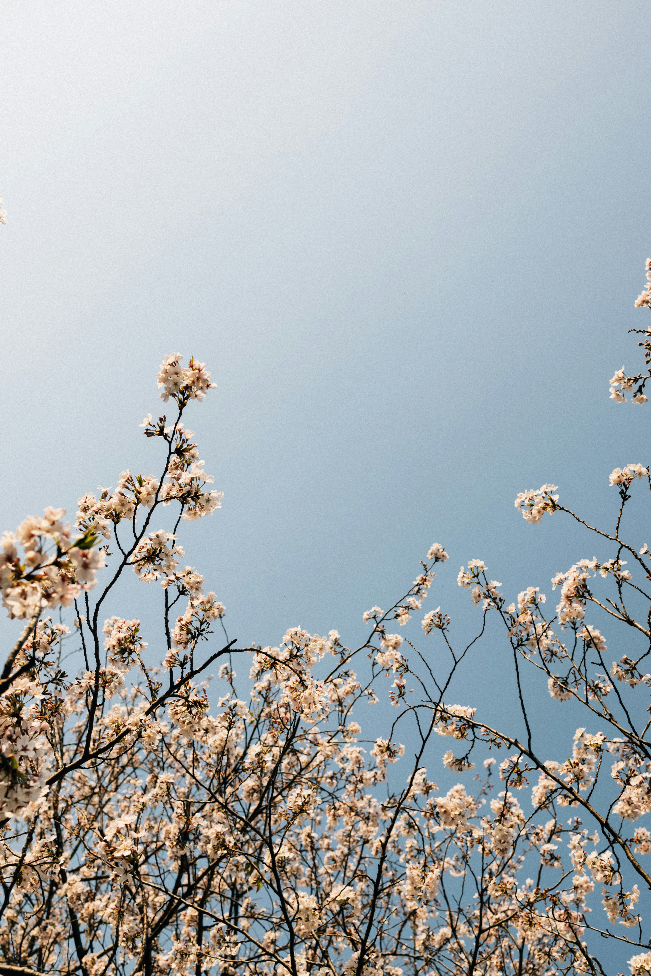 Photo by tsuyoshikozu