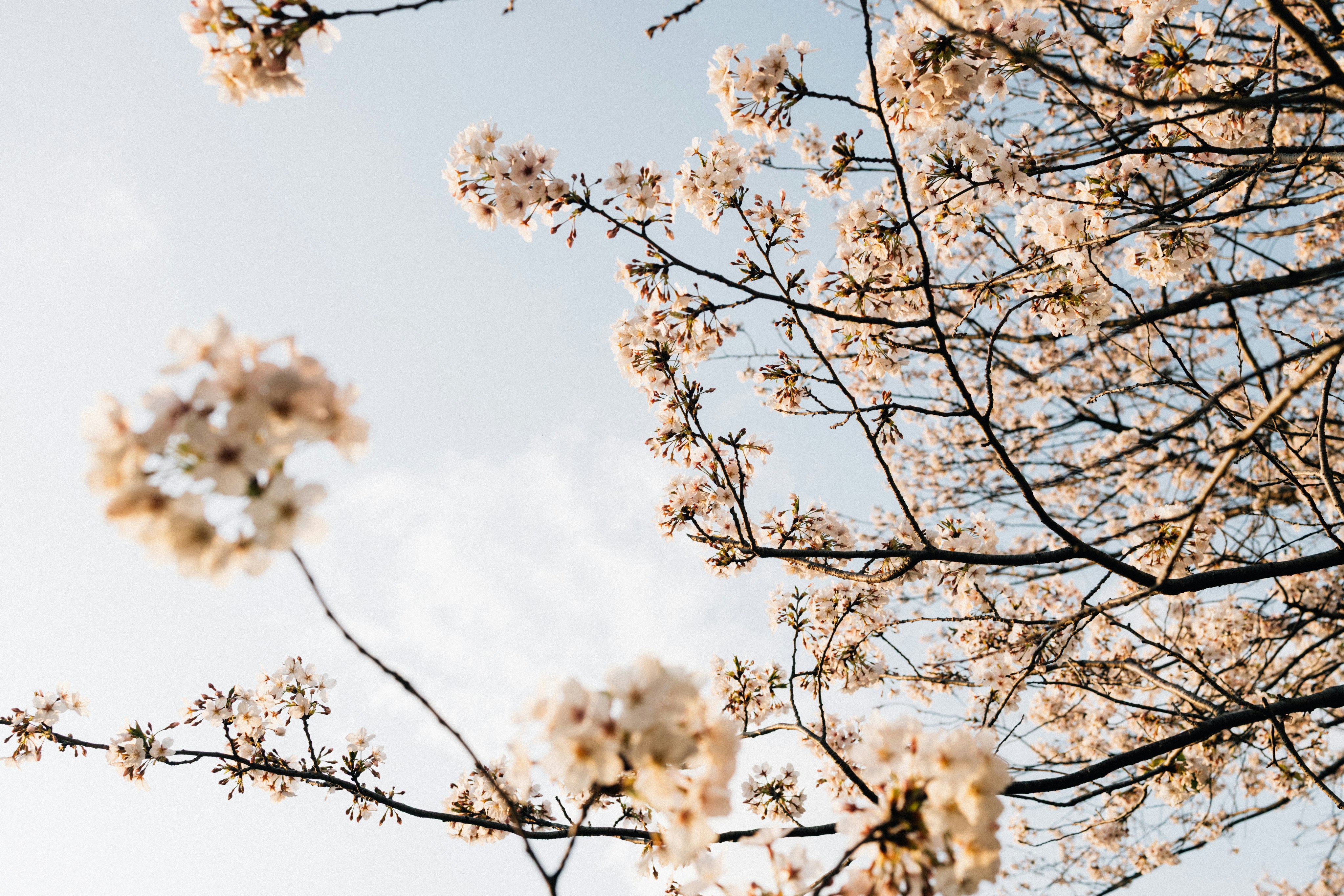 Photo by tsuyoshikozu