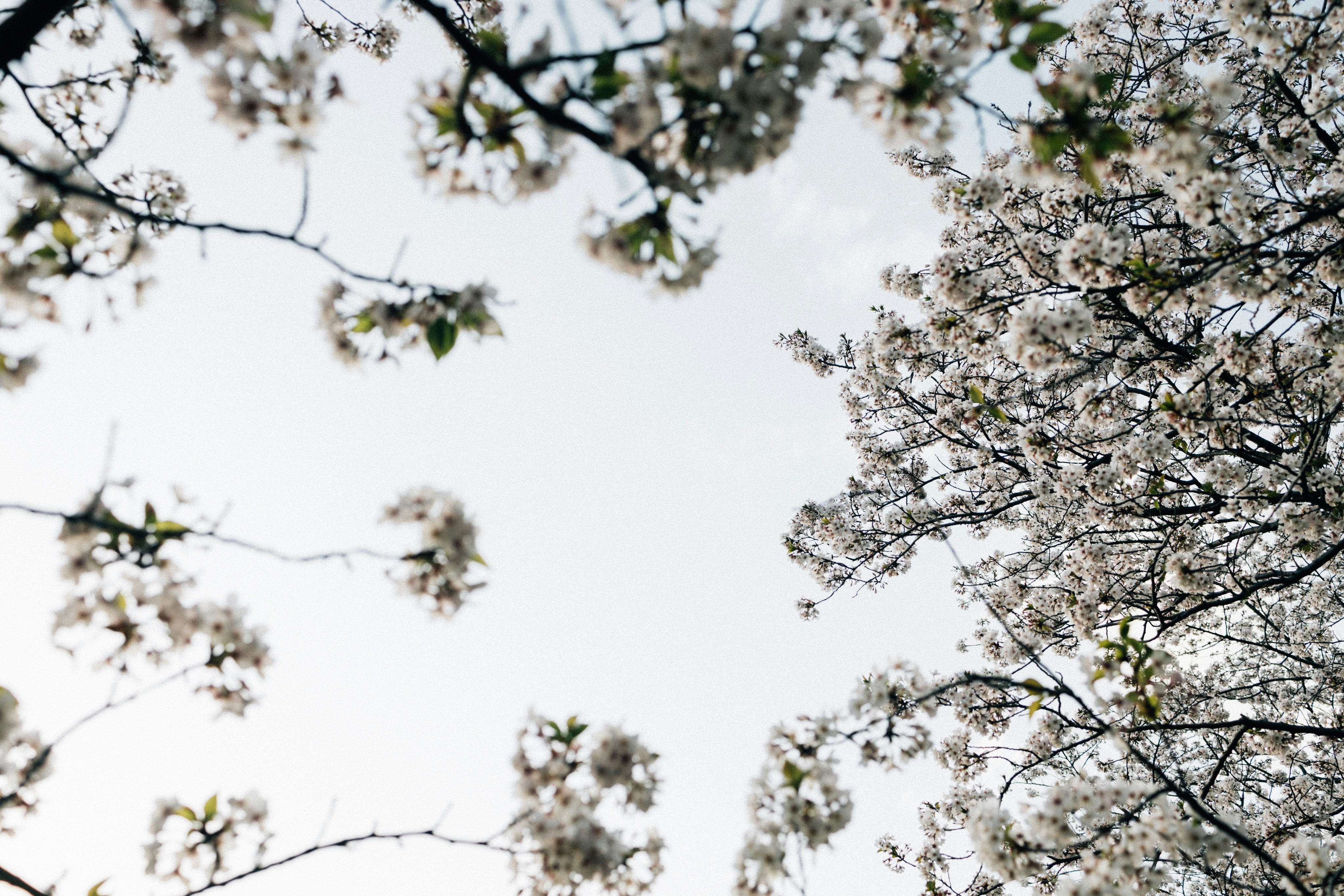 Photo by tsuyoshikozu