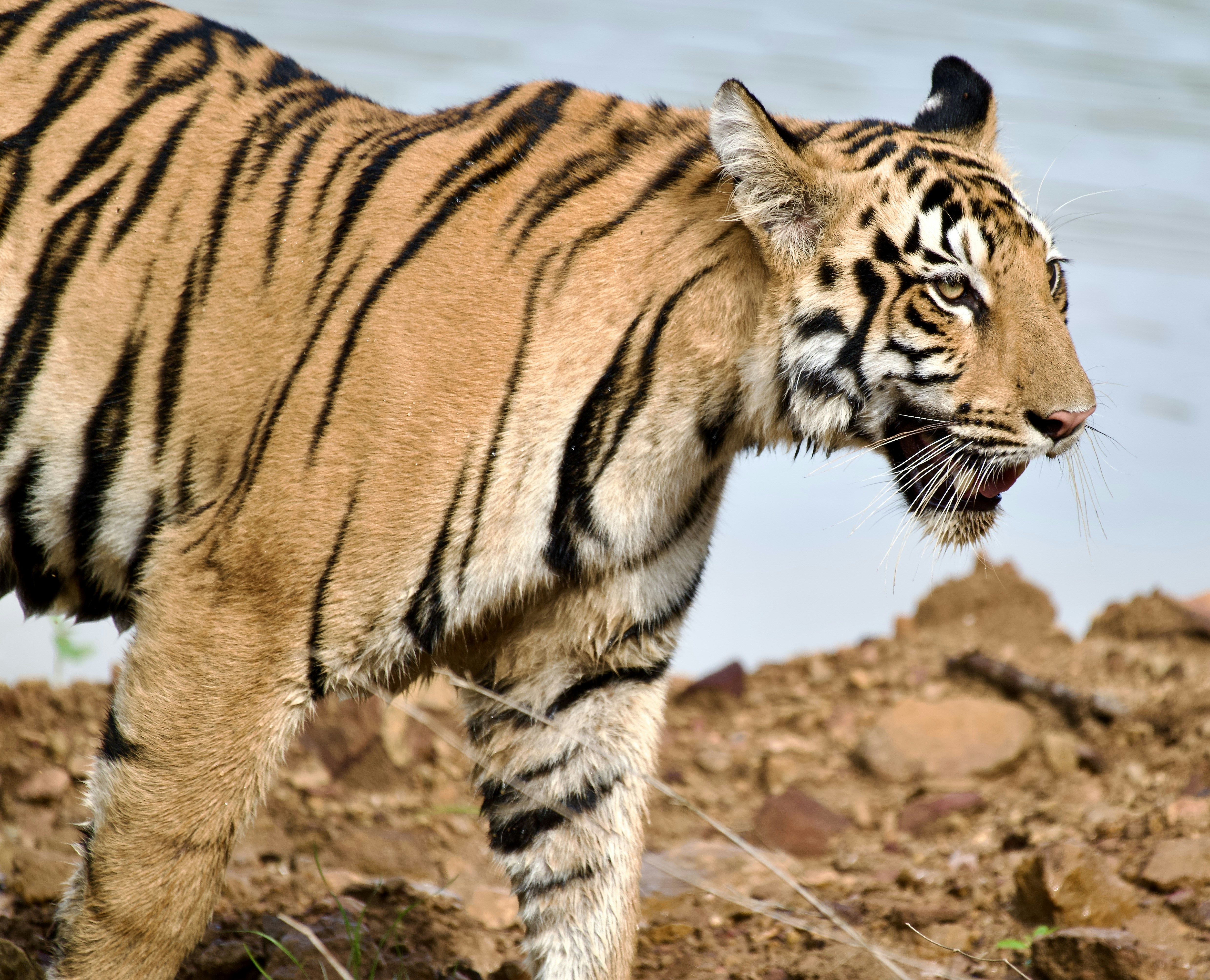 Photo by avinash7760670357