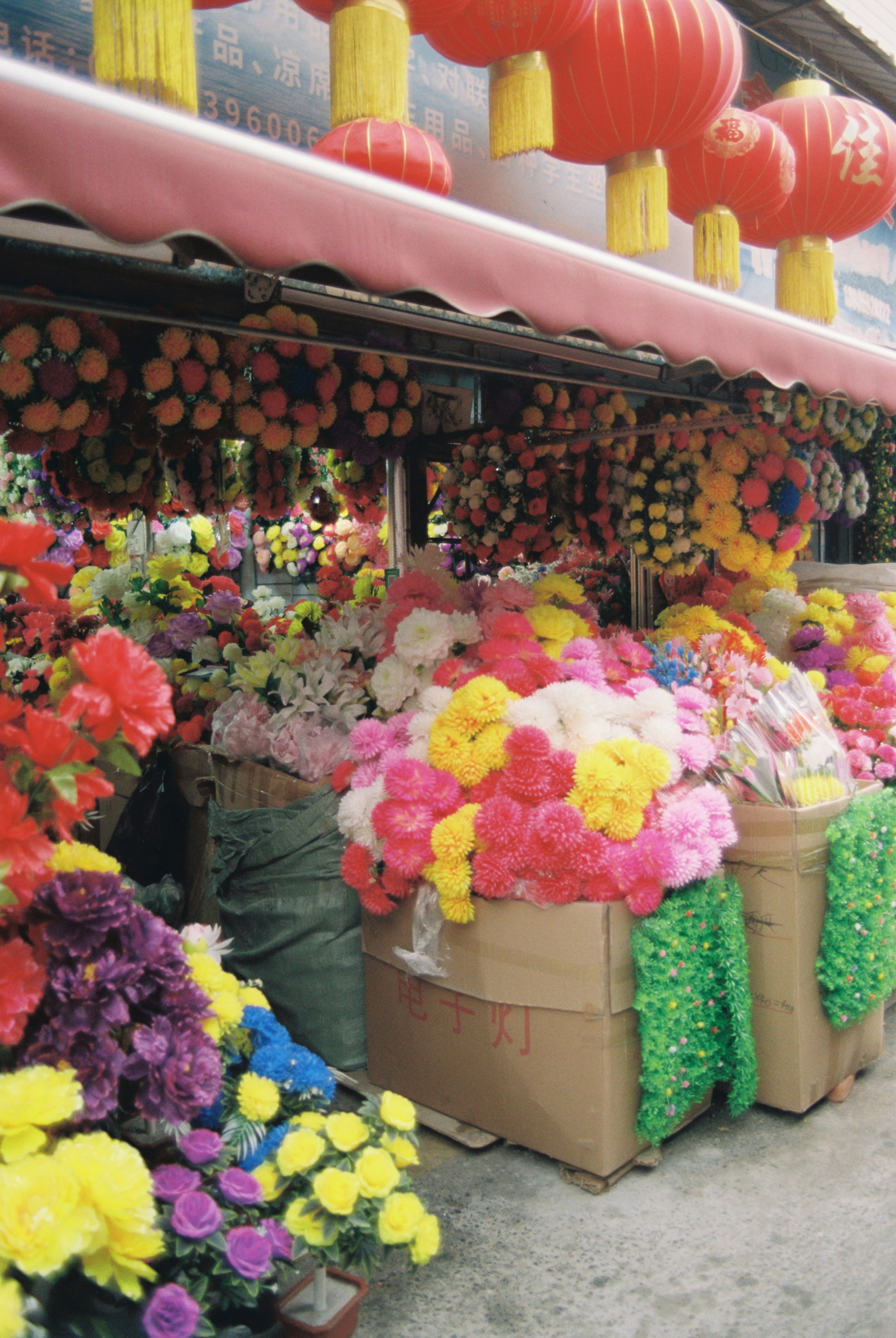 봉평 메밀꽃 축제 입장료 관련 이미지2