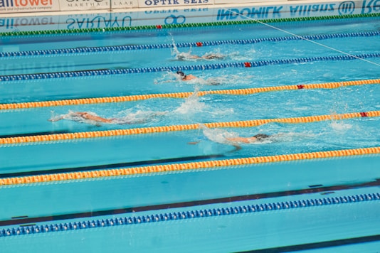 Swimmers are competing in a race.