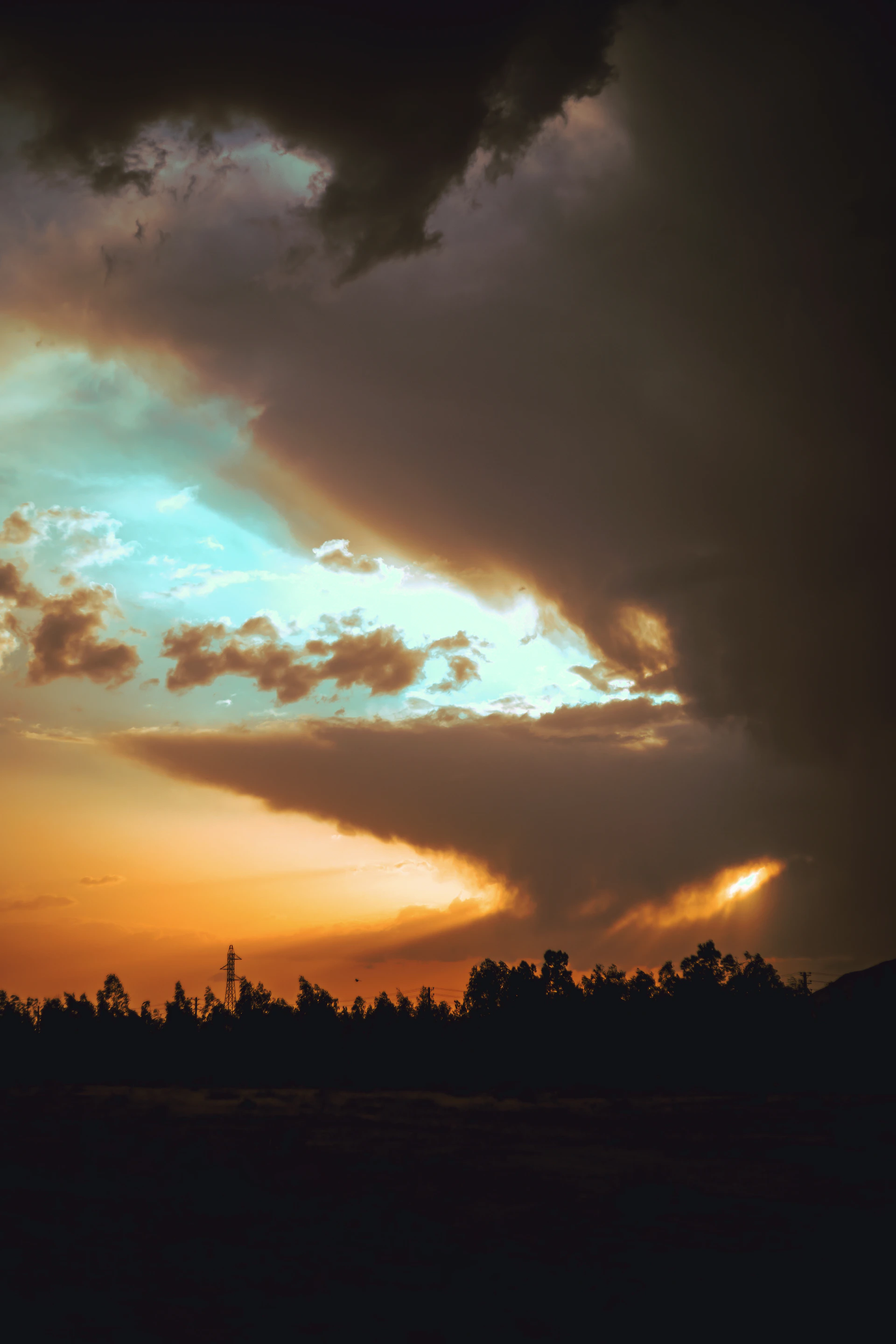 Dramatic sunset sky with vibrant clouds over trees
