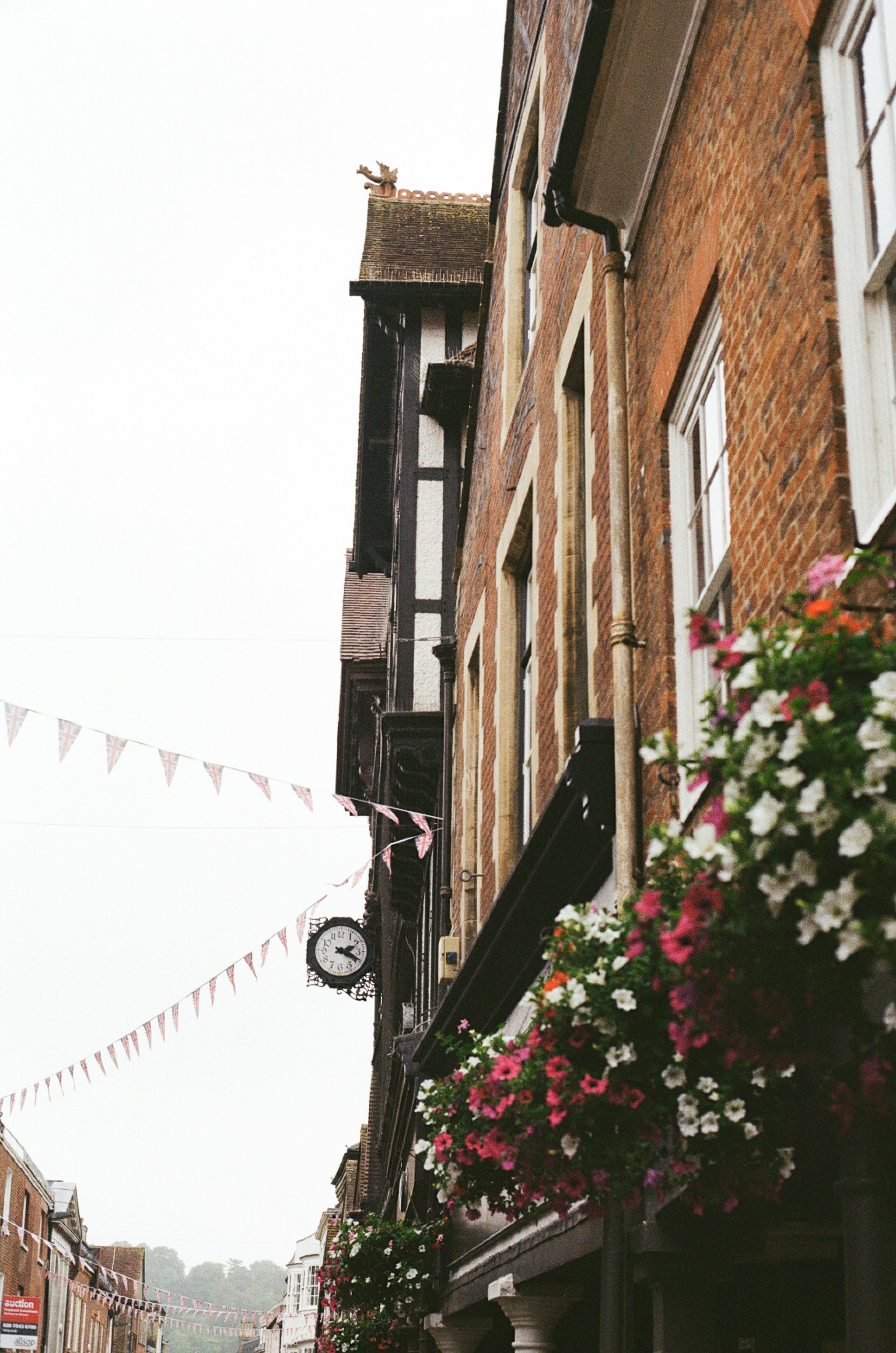 Photo by tanyabarrow