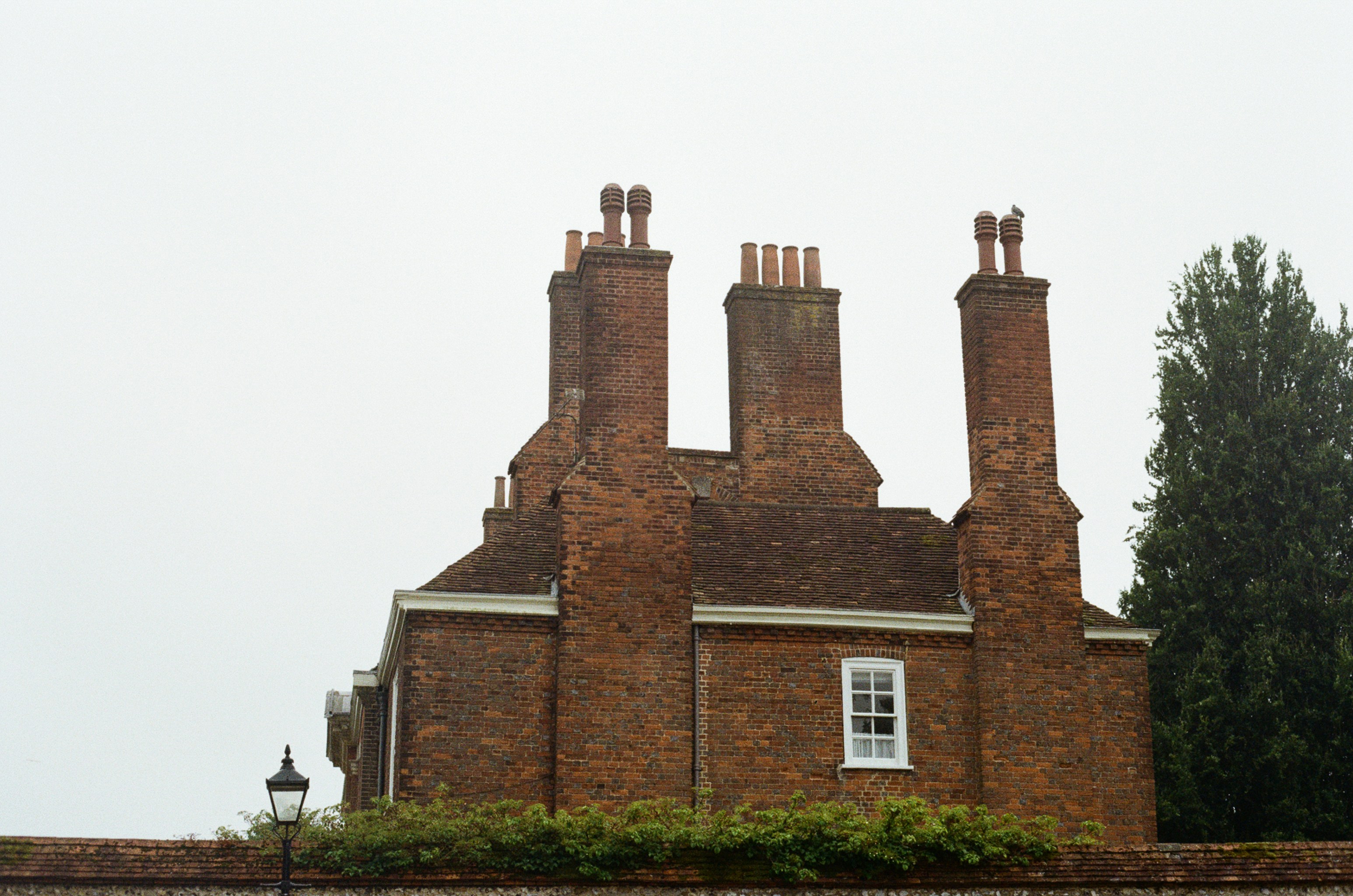 Photo by tanyabarrow