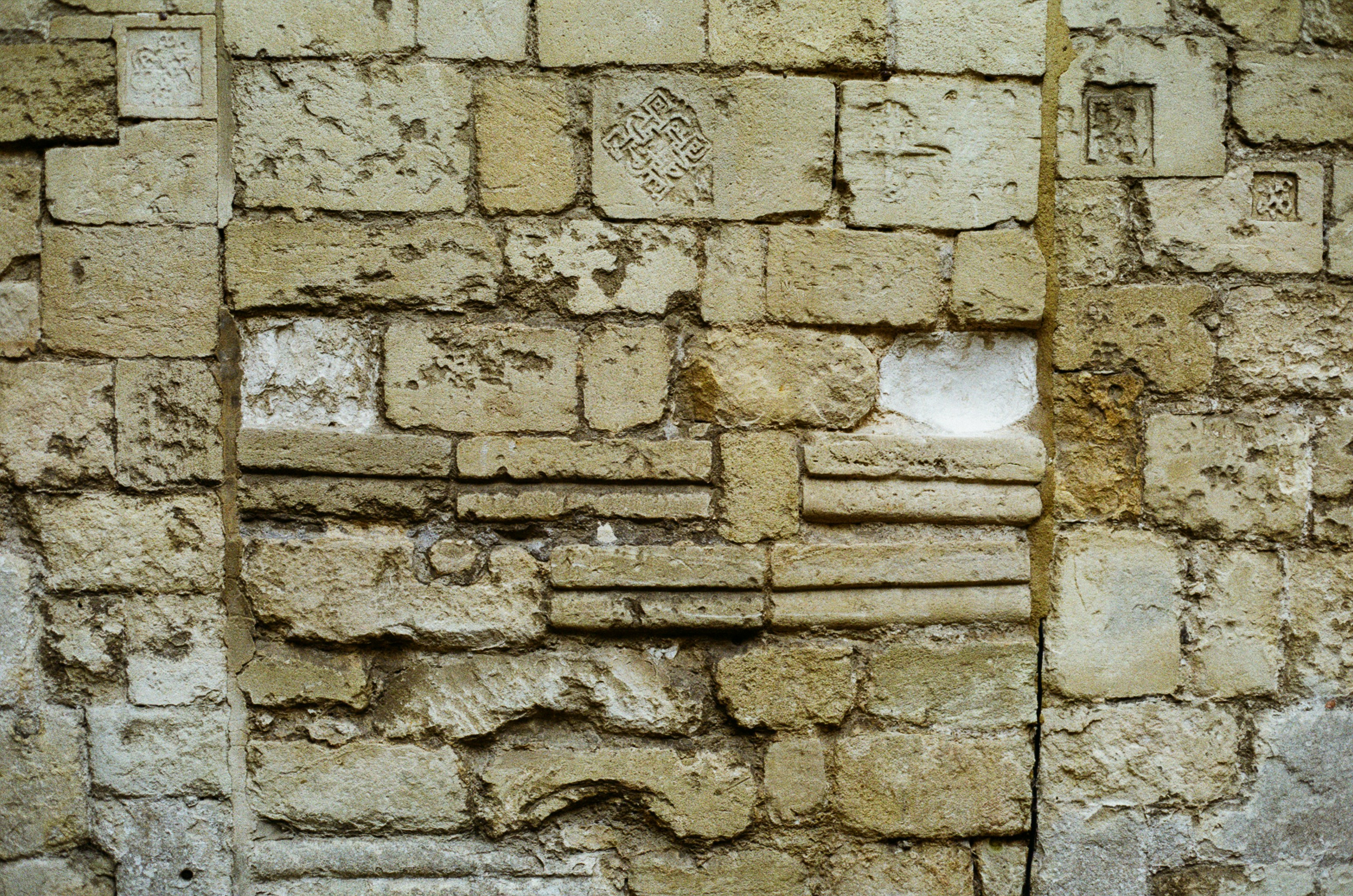 Photo by tanyabarrow