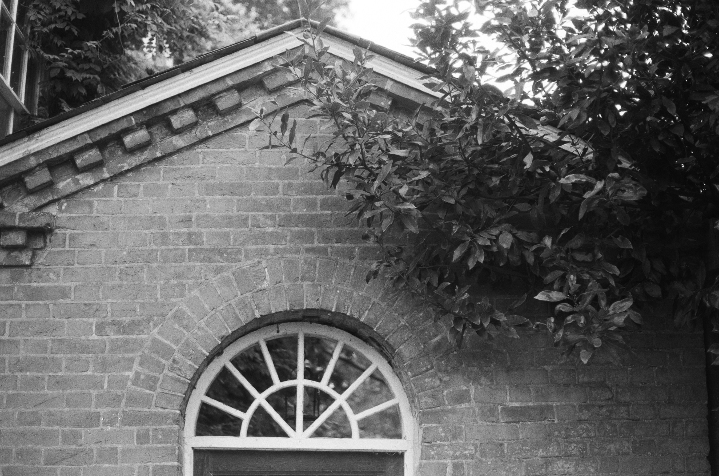 Photo by tanyabarrow