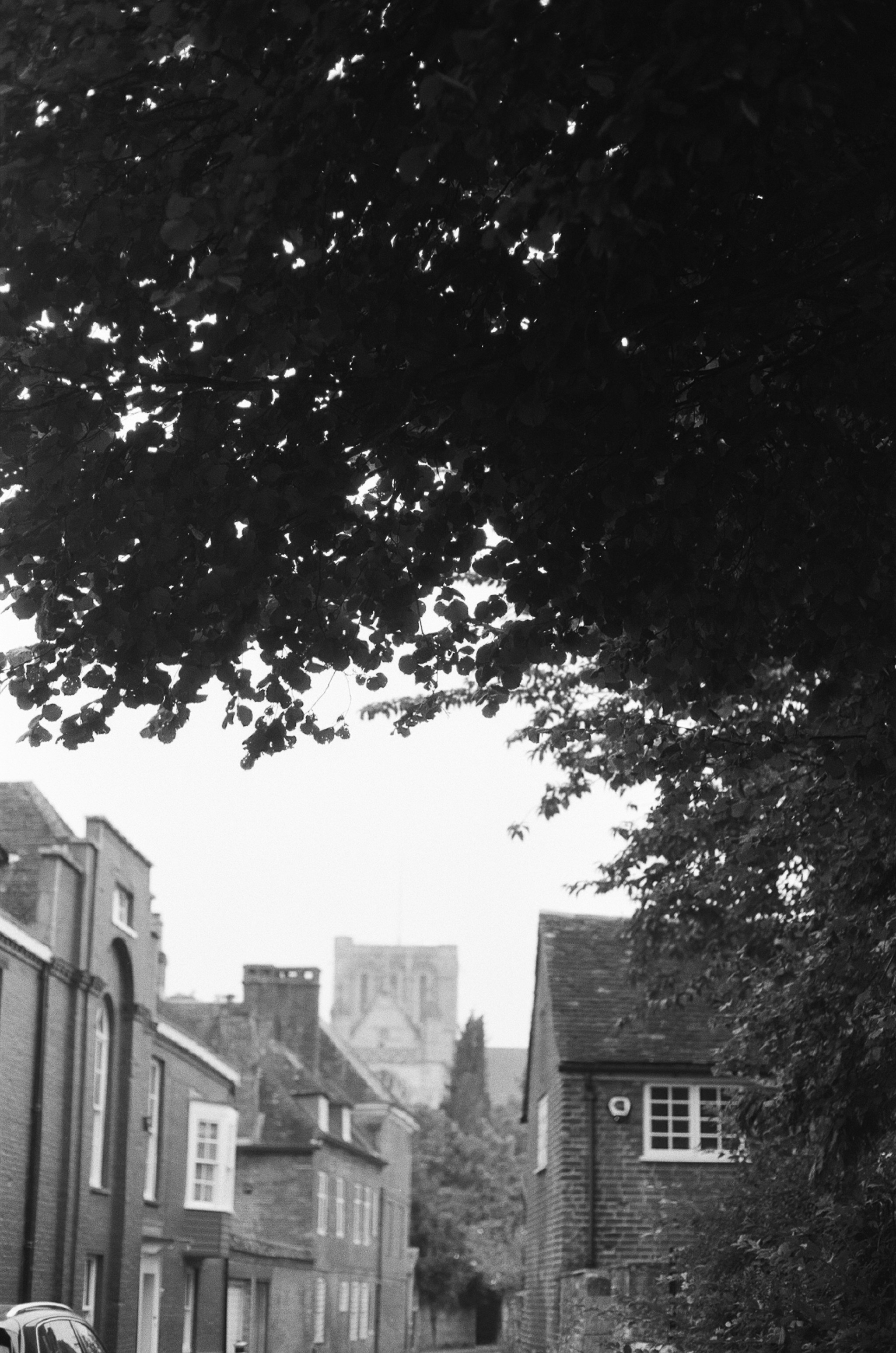 Photo by tanyabarrow