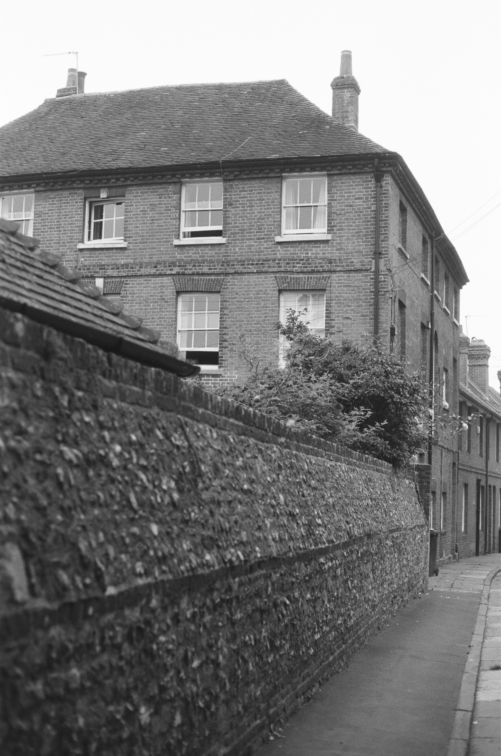 Photo by tanyabarrow