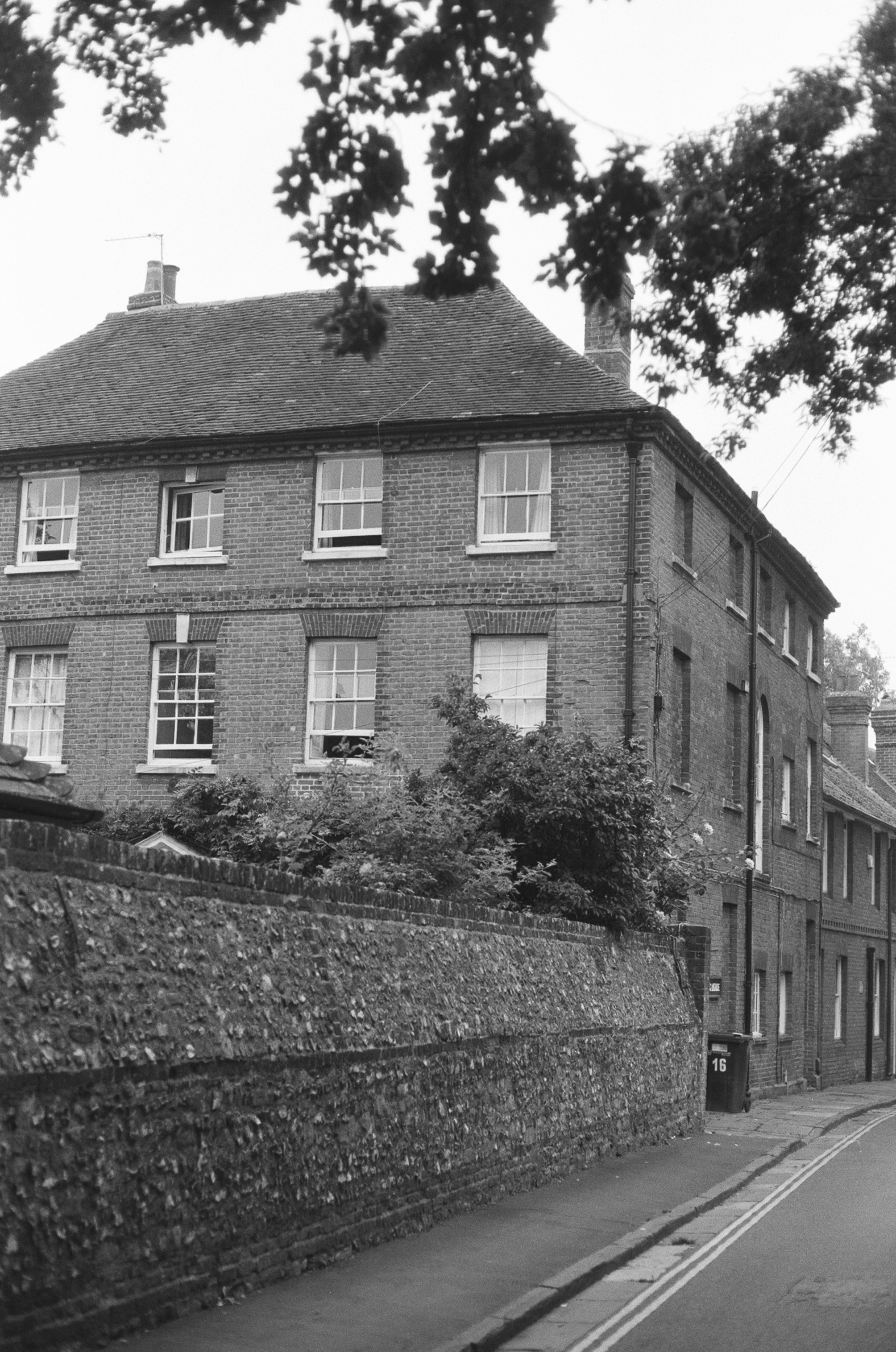 Photo by tanyabarrow