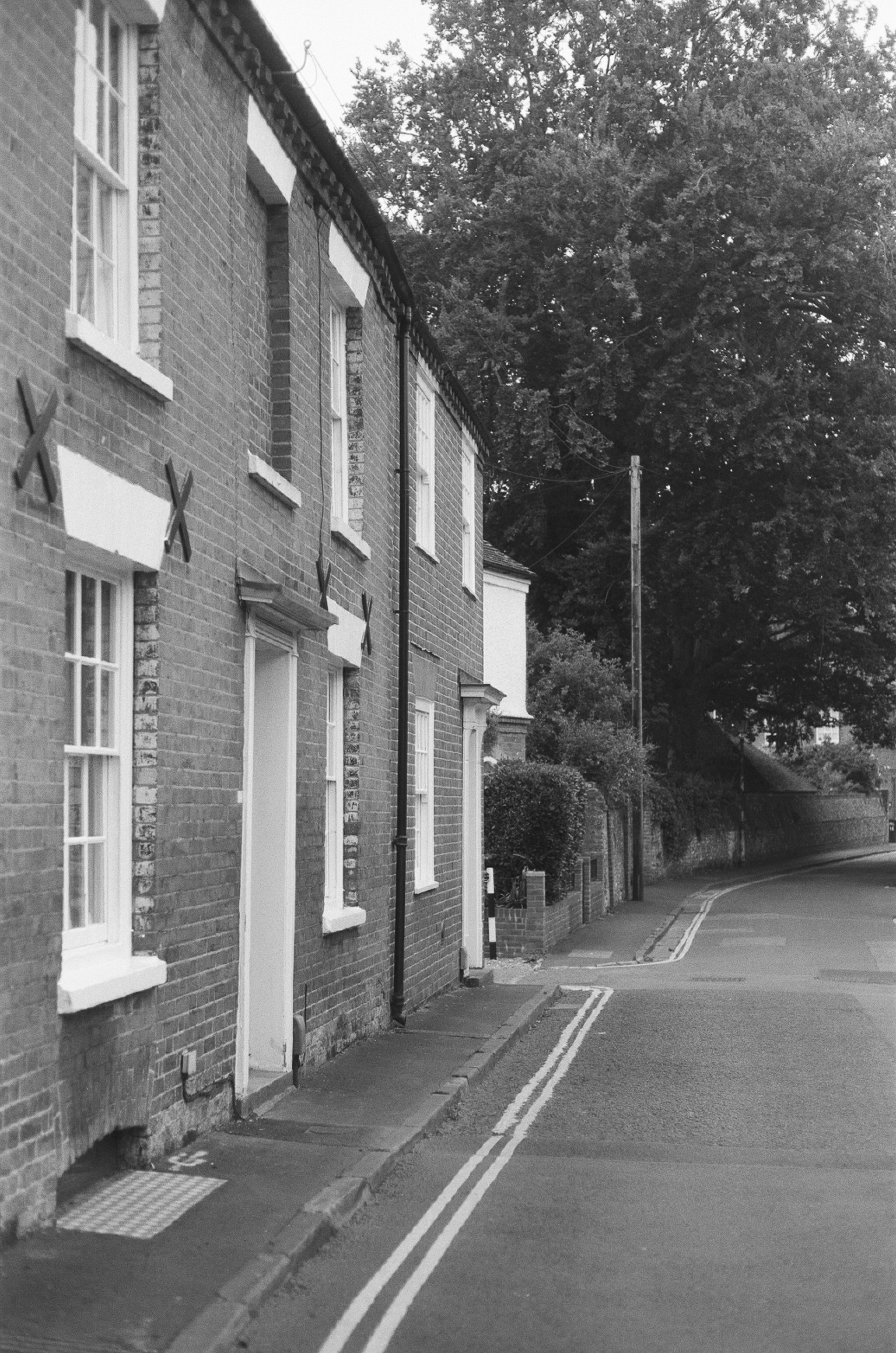 Photo by tanyabarrow