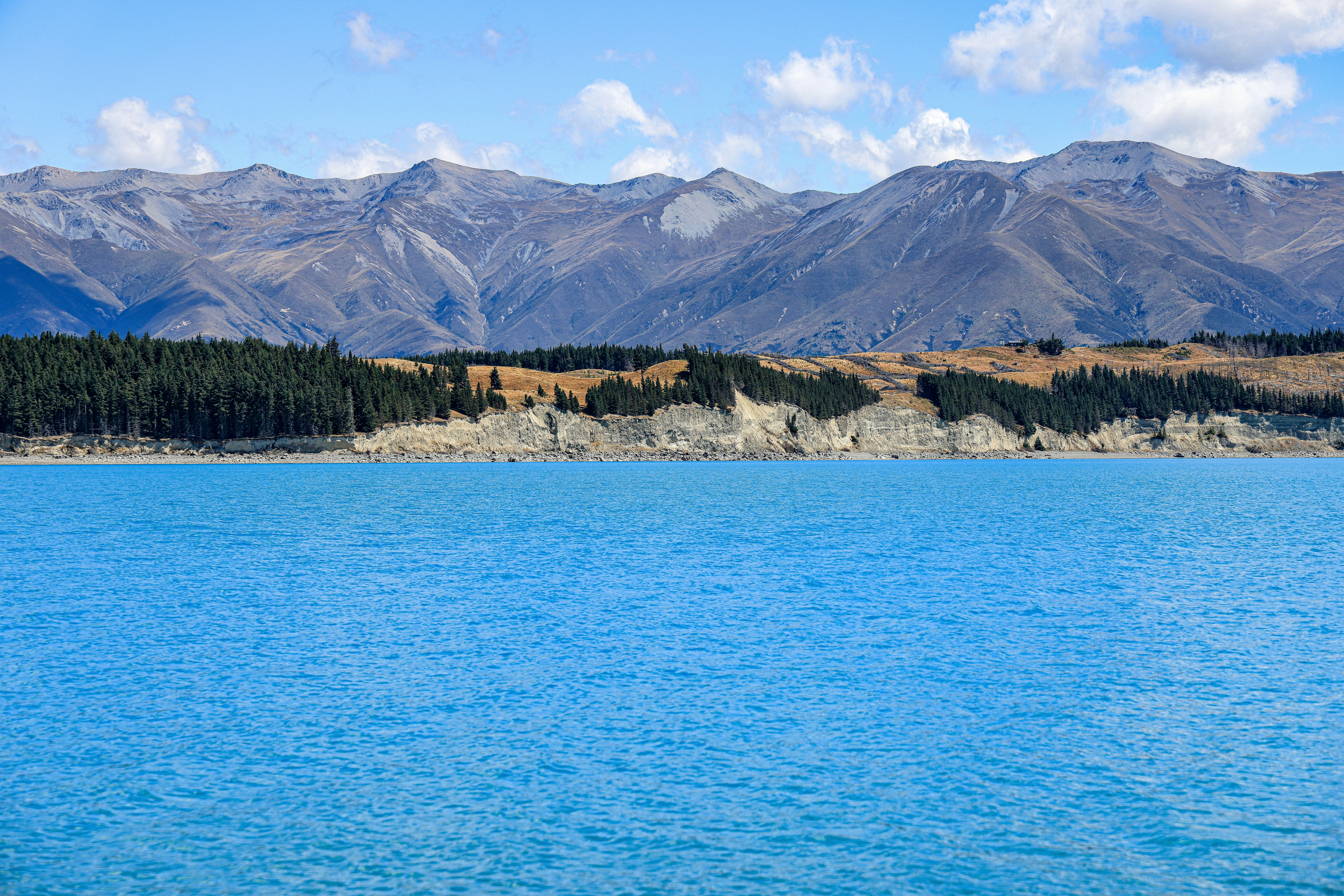 Photo by maximilian_brand