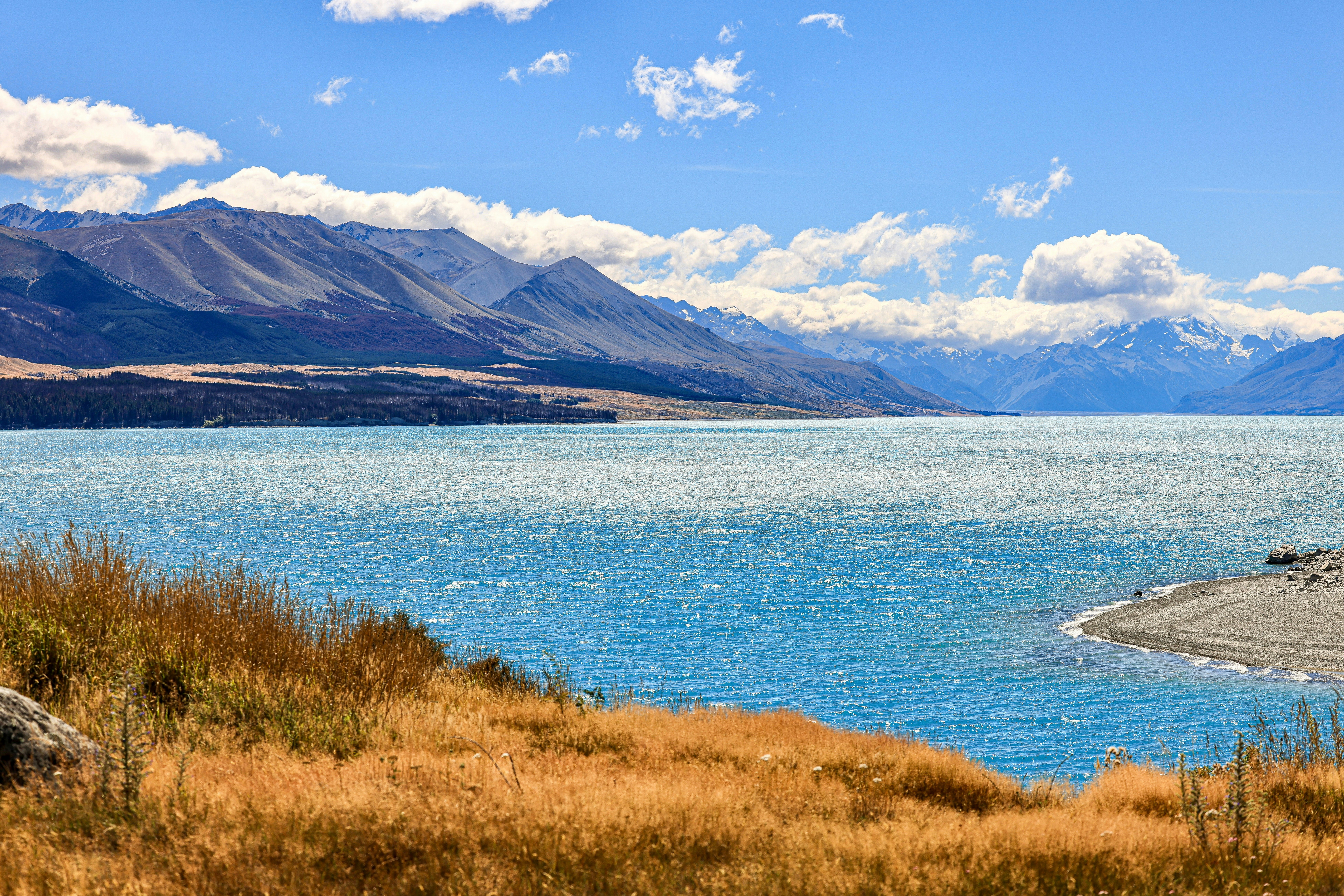 Photo by maximilian_brand