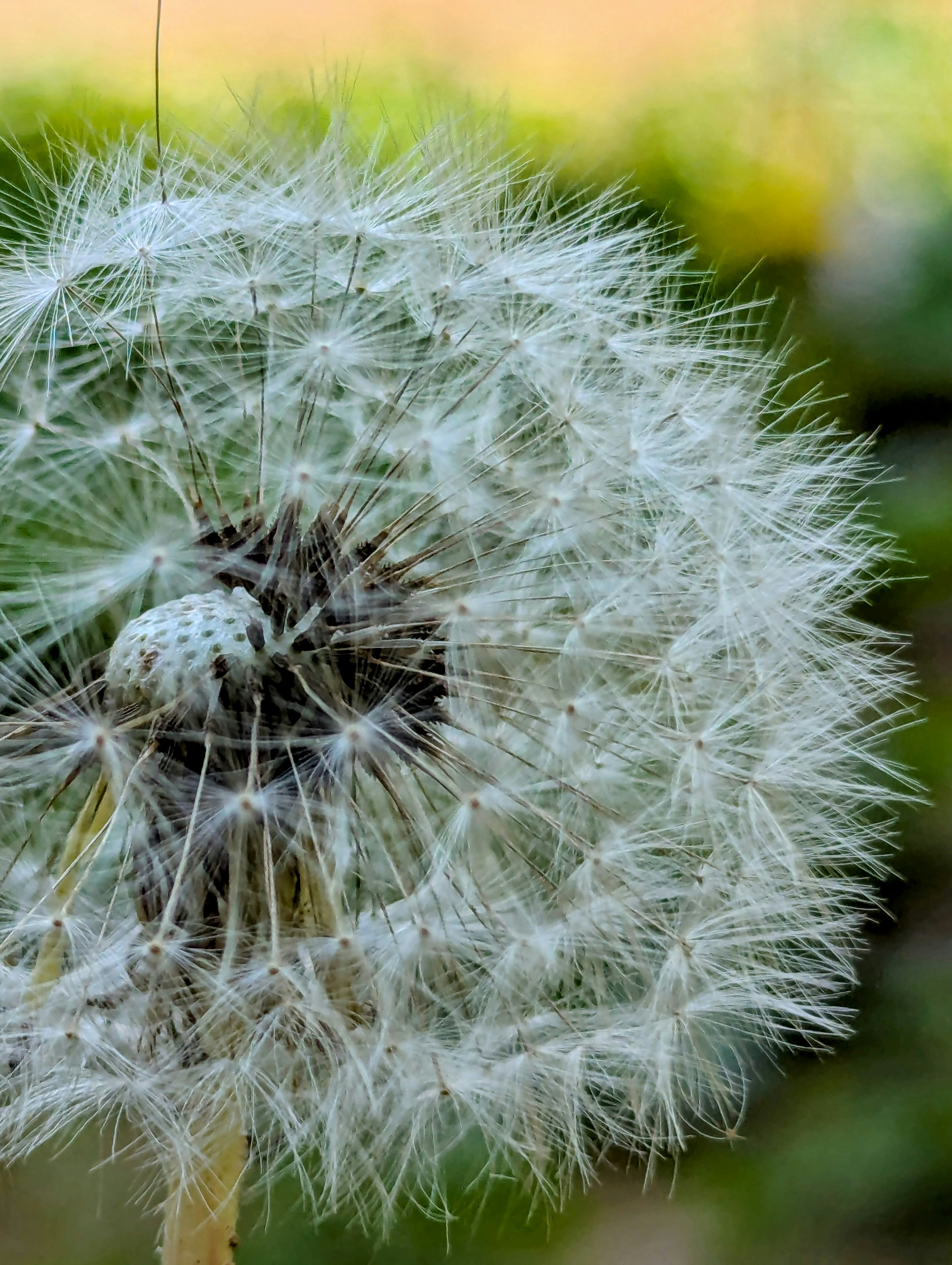 Photo by nestormehanikov