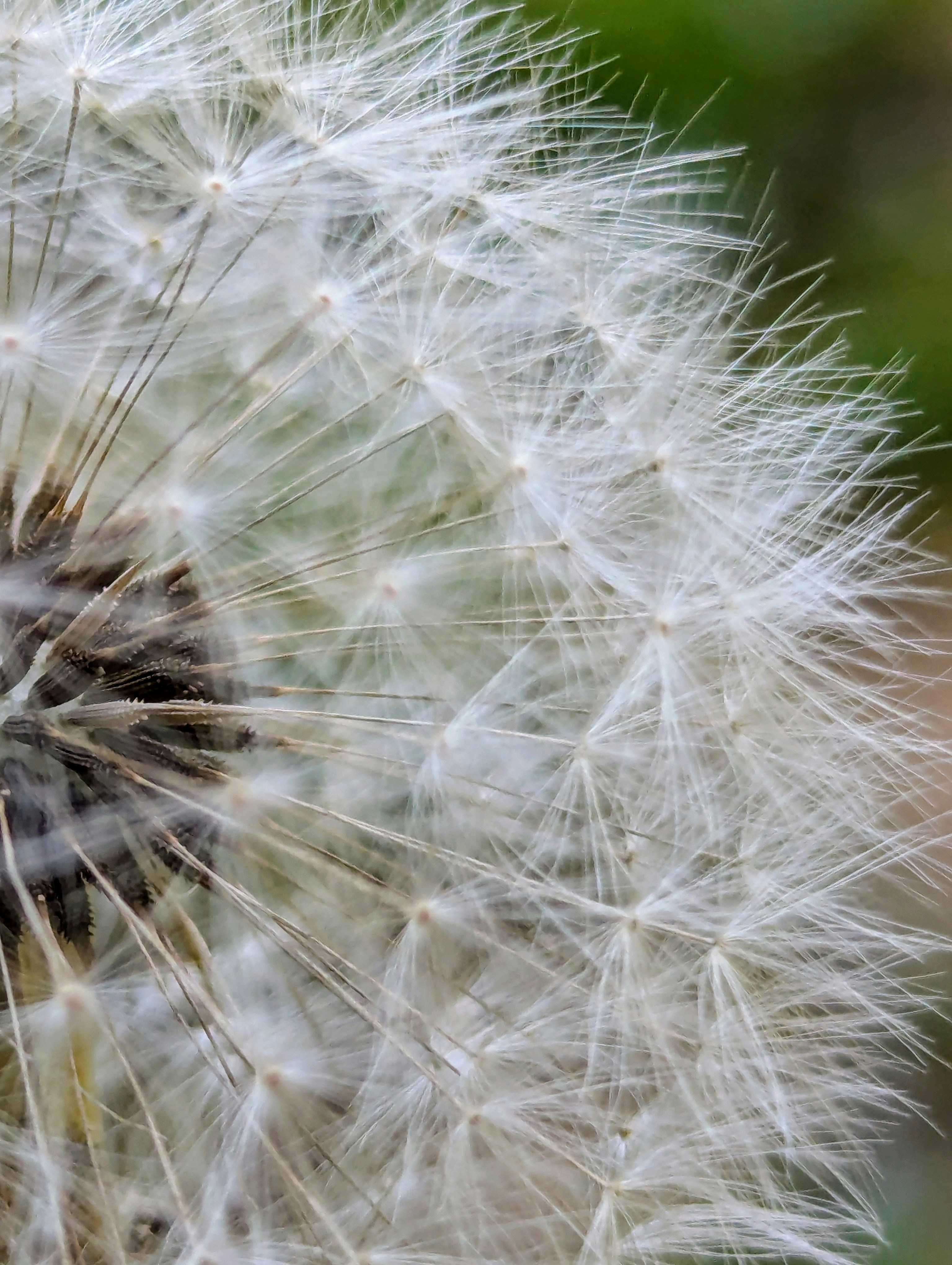 Photo by nestormehanikov