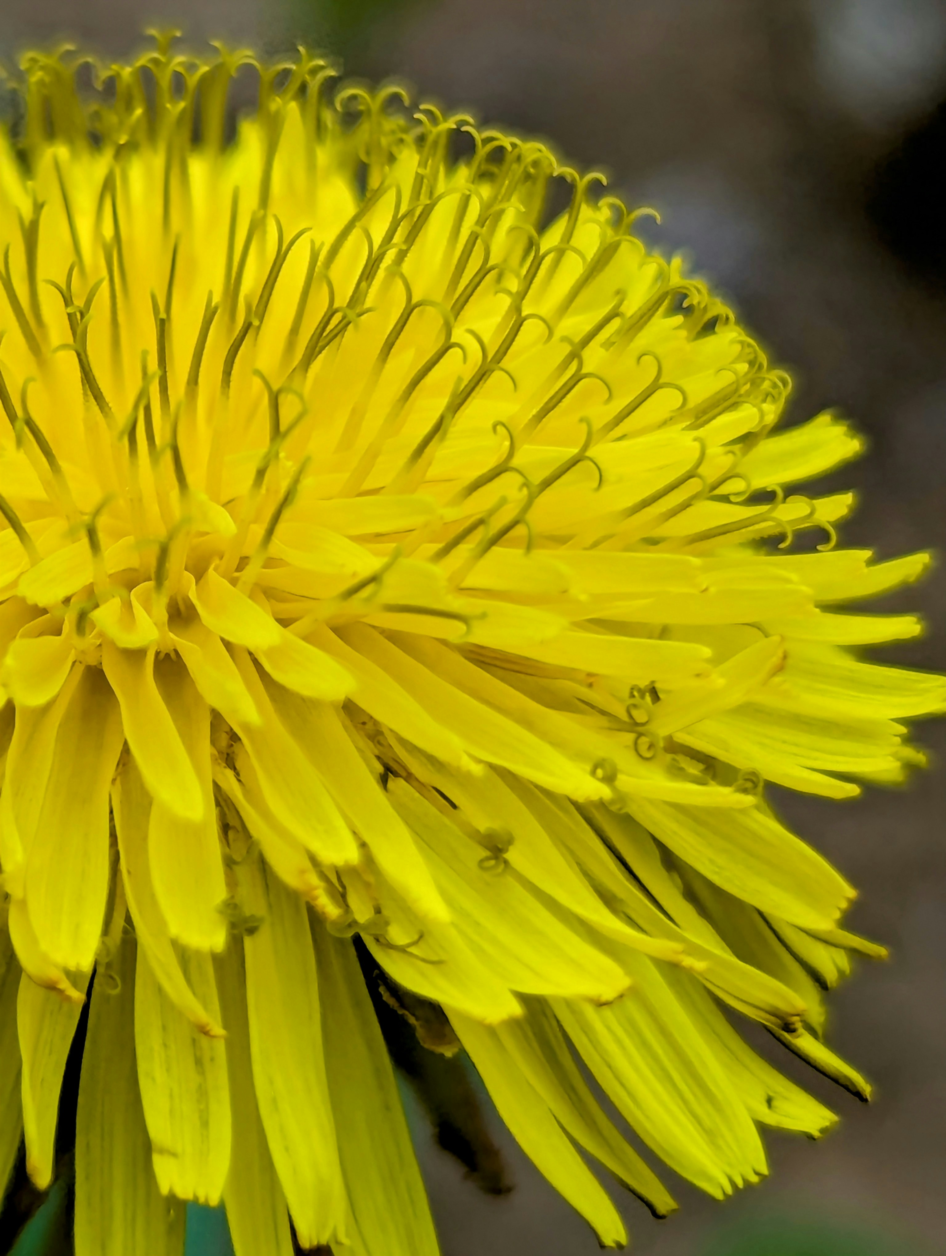 Photo by nestormehanikov