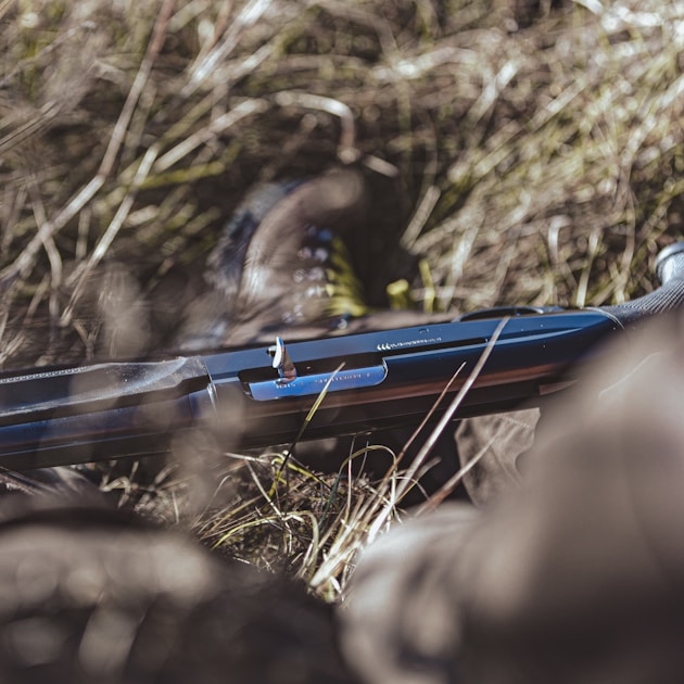Whitetail deer in Mississippi Delta hardwood bottom with Spanish moss and river timber