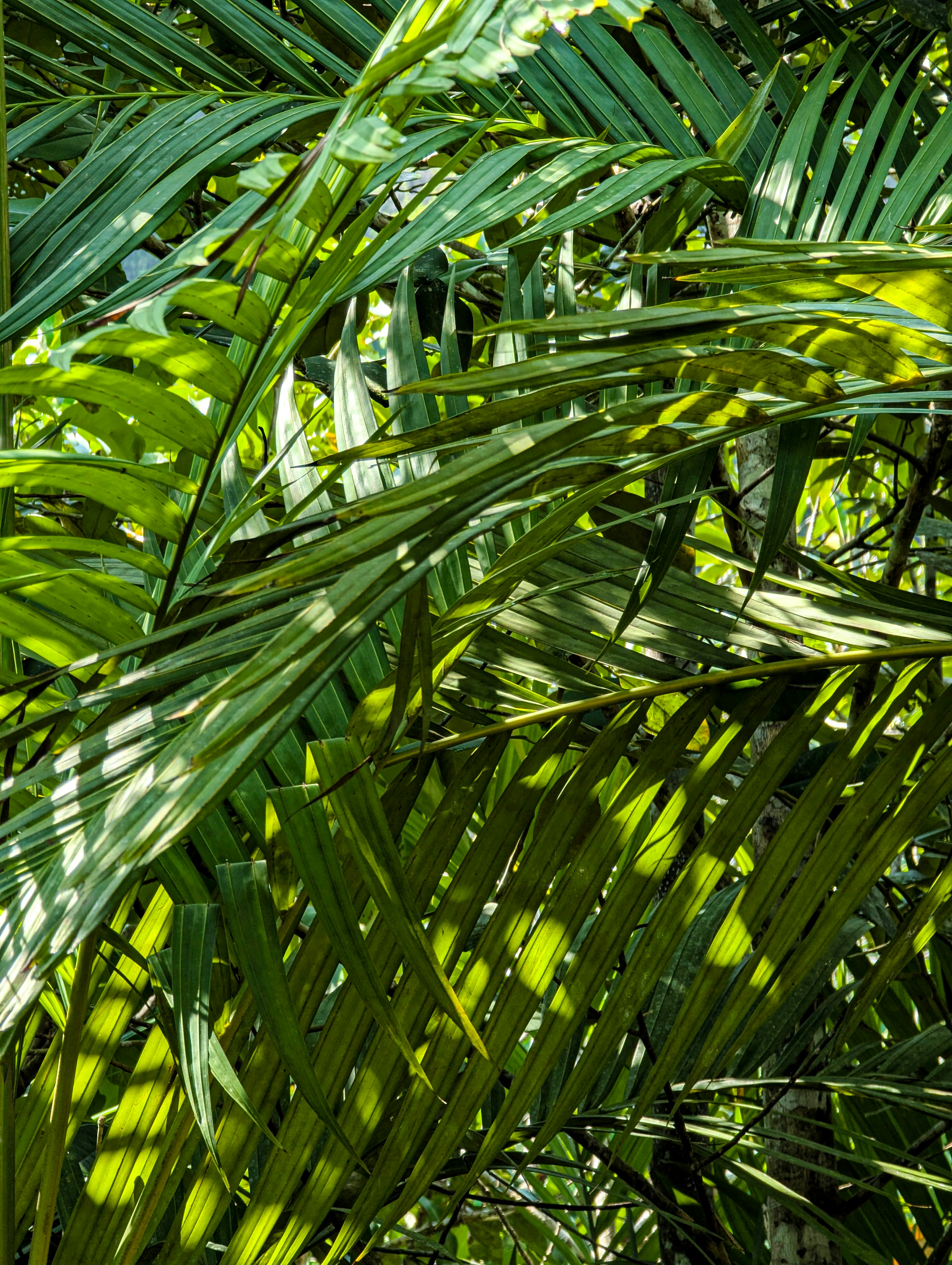 Photo by nestormehanikov